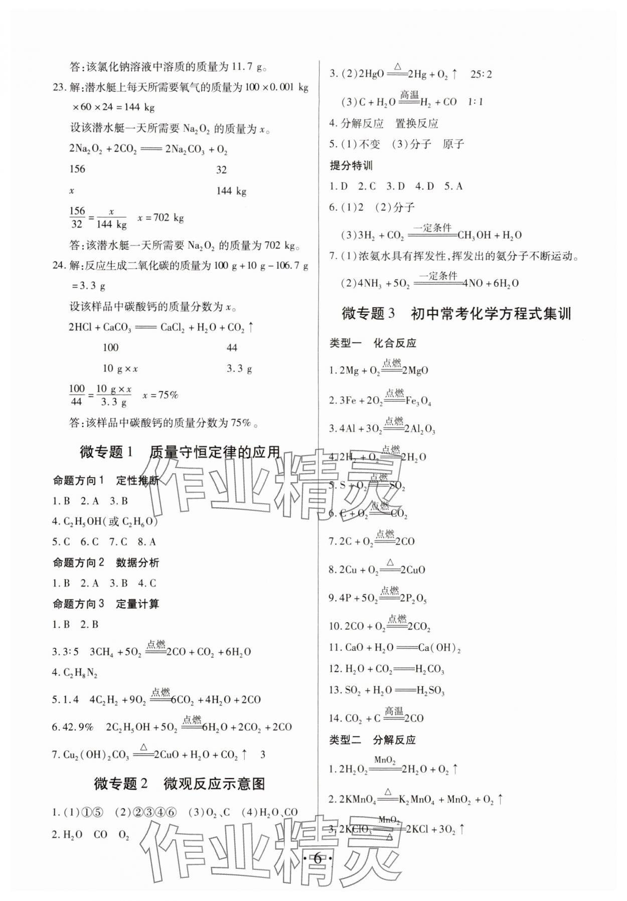 2024年理想中考化学中考河南专版 参考答案第6页