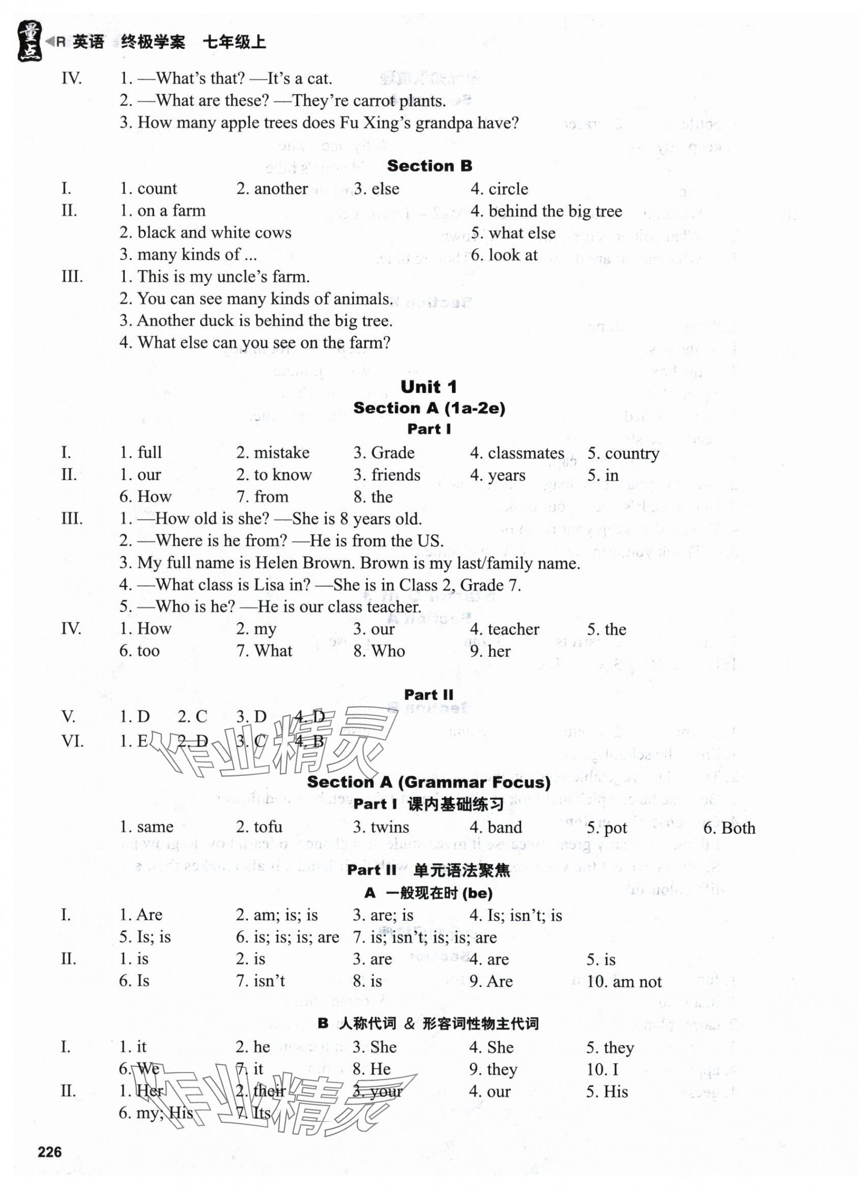 2025年终极学案七年级英语上册人教版&nbsp;第3页