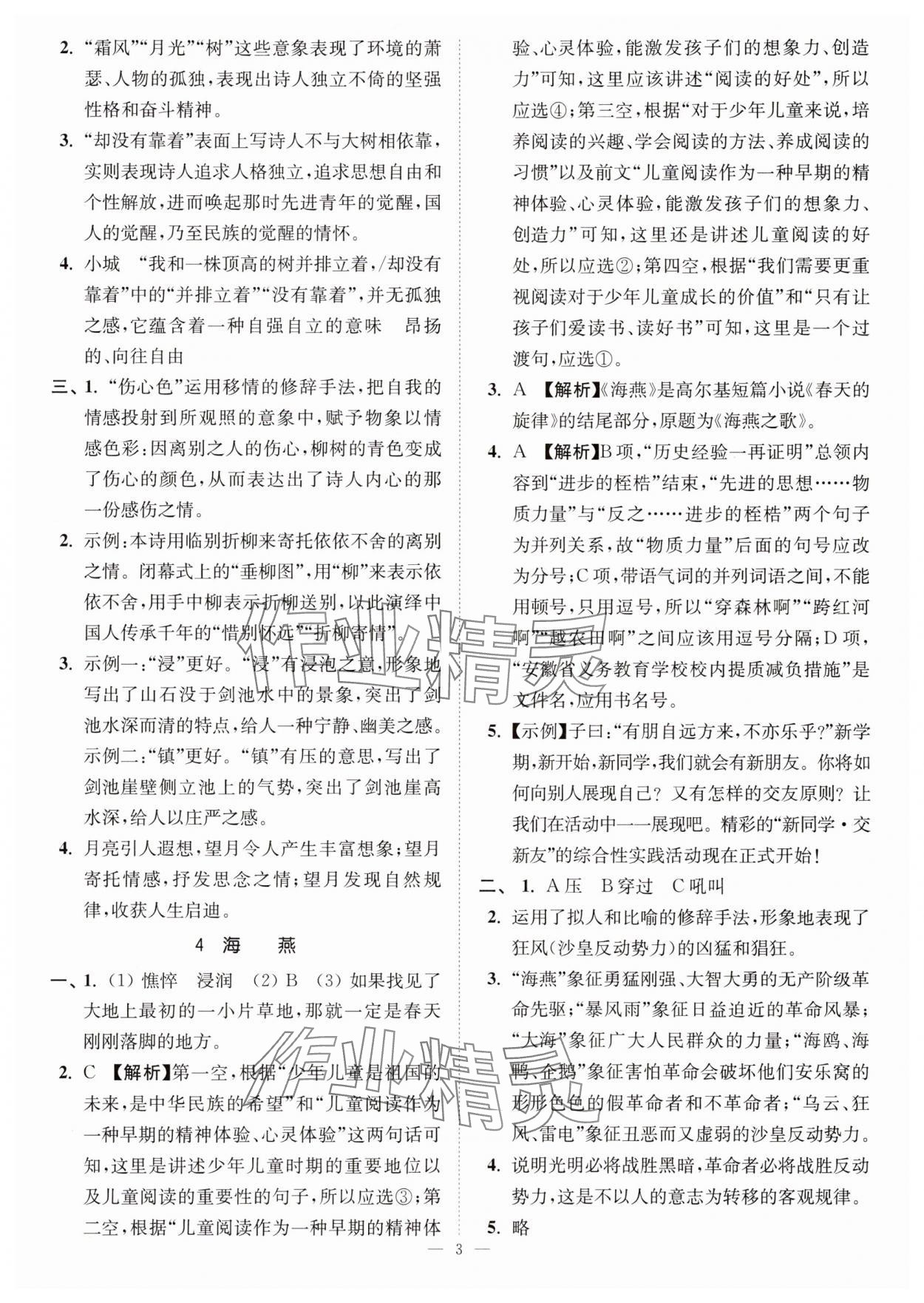 2025年南通小題課時提優(yōu)作業(yè)本九年級語文下冊全國 版 第3頁