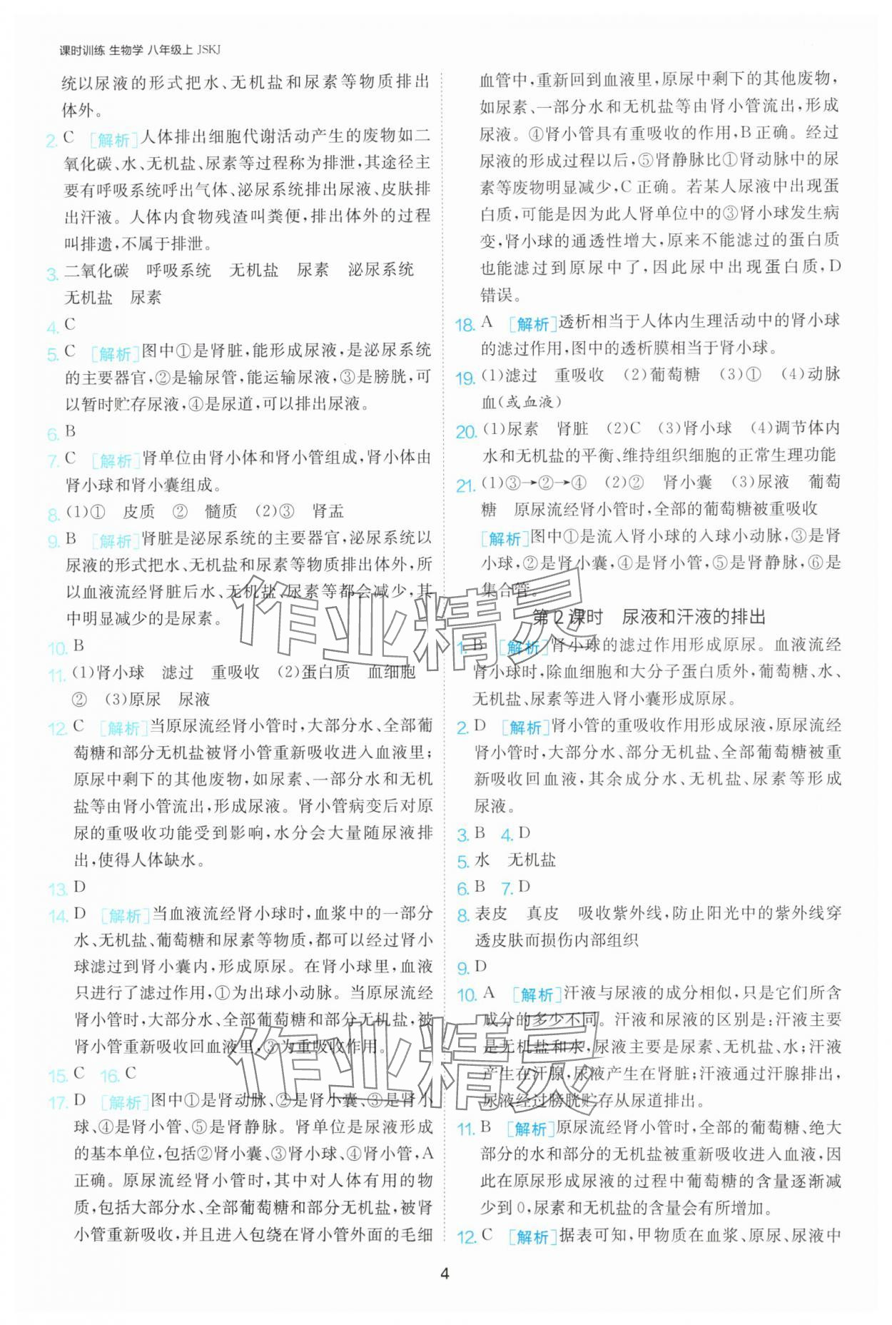 2024年课时训练江苏人民出版社八年级生物上册苏科版 参考答案第4页