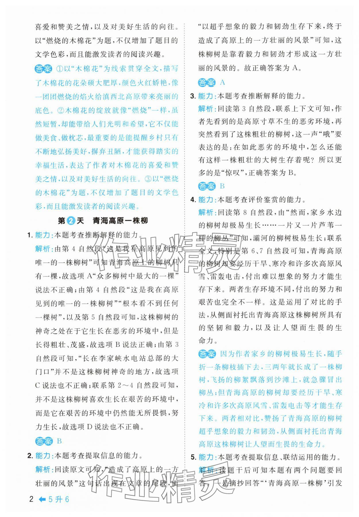 2025年阳光同学暑假阅读5升6语文 第2页