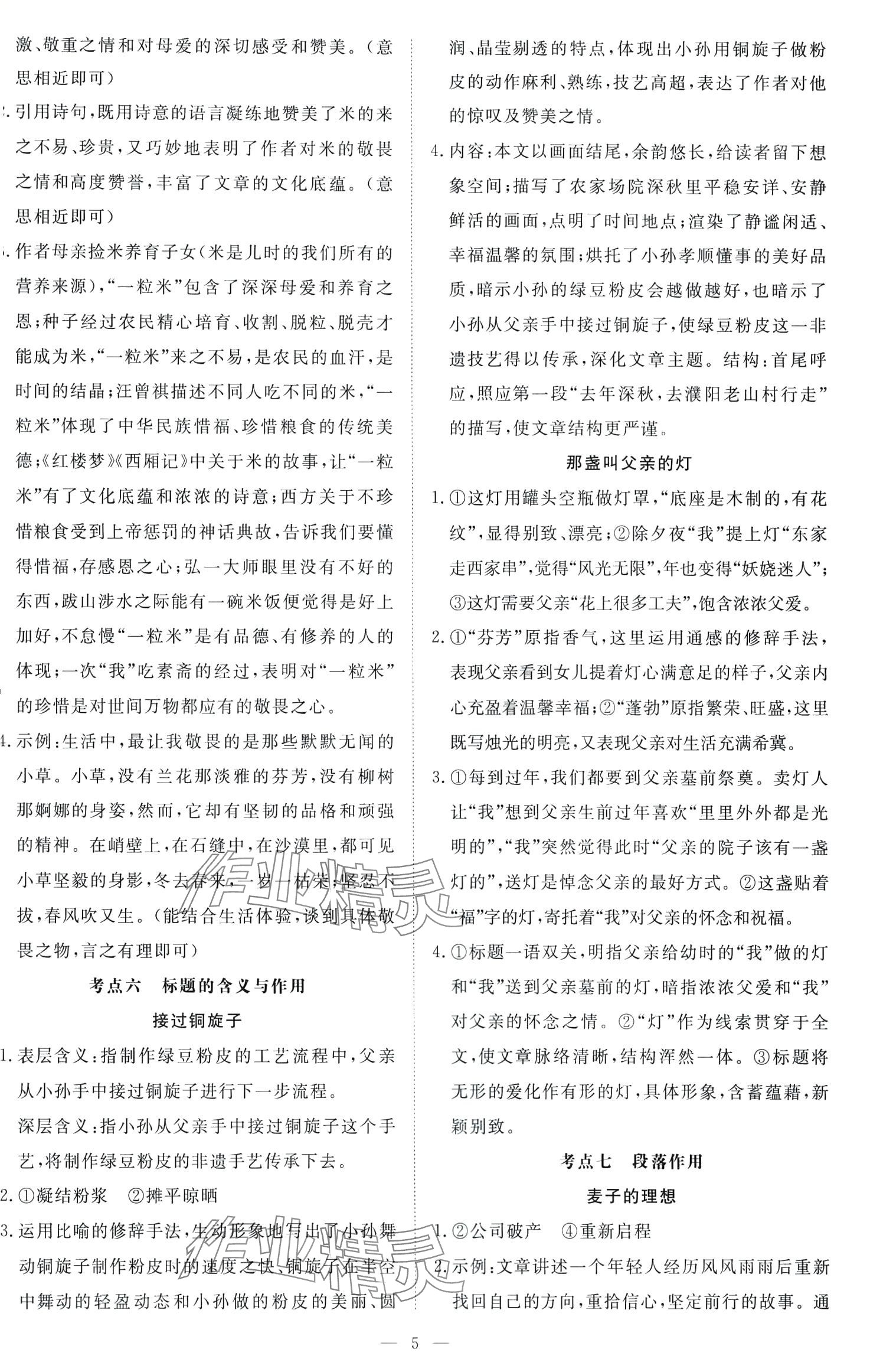 2024年初中现代文阅读与训练中考语文&nbsp;第5页