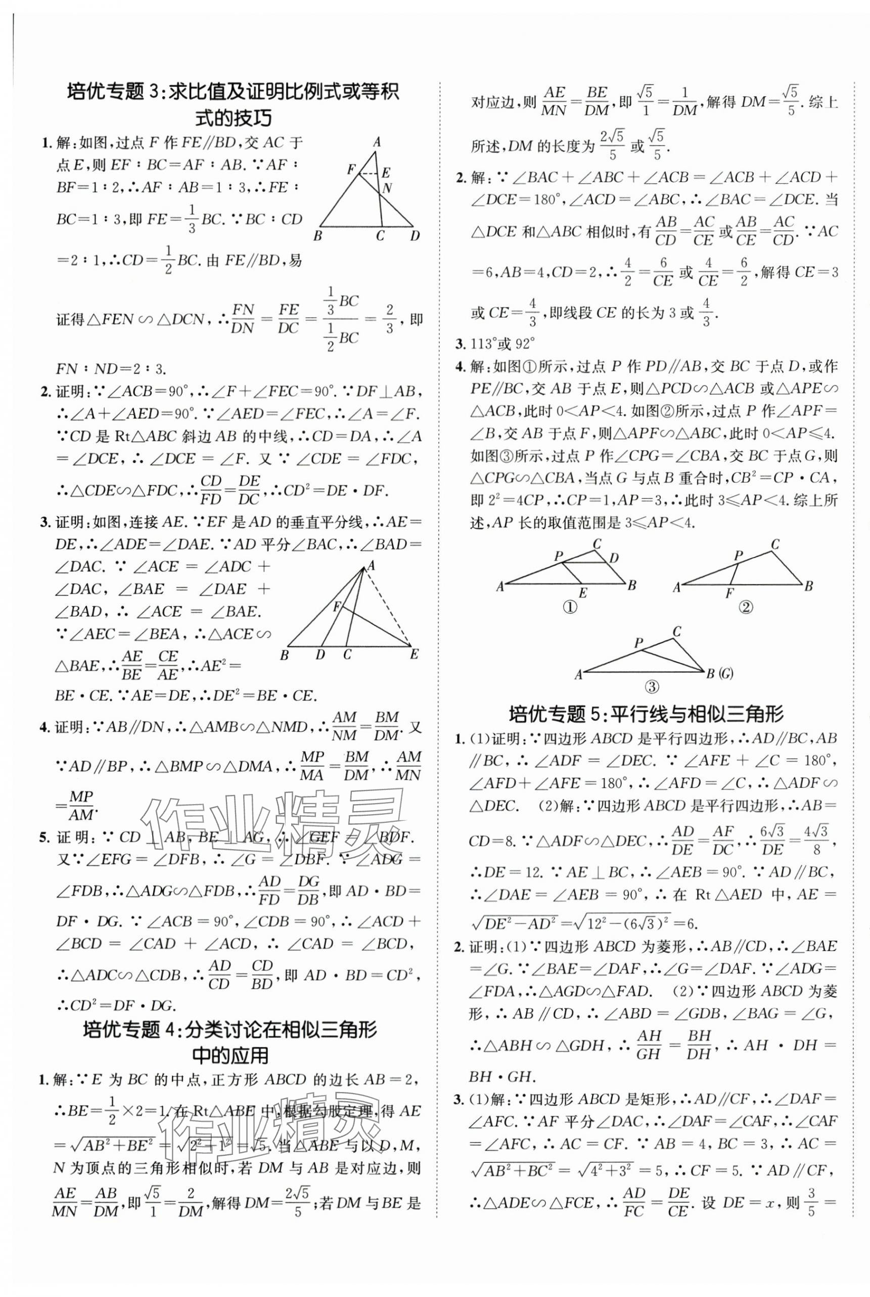 2025年同行學(xué)案九年級(jí)數(shù)學(xué)上冊(cè)青島版&nbsp;第5頁