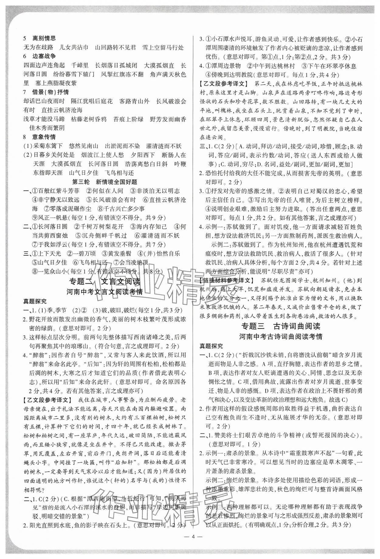 2024年鼎成中考精準提分語文河南專版 第3頁