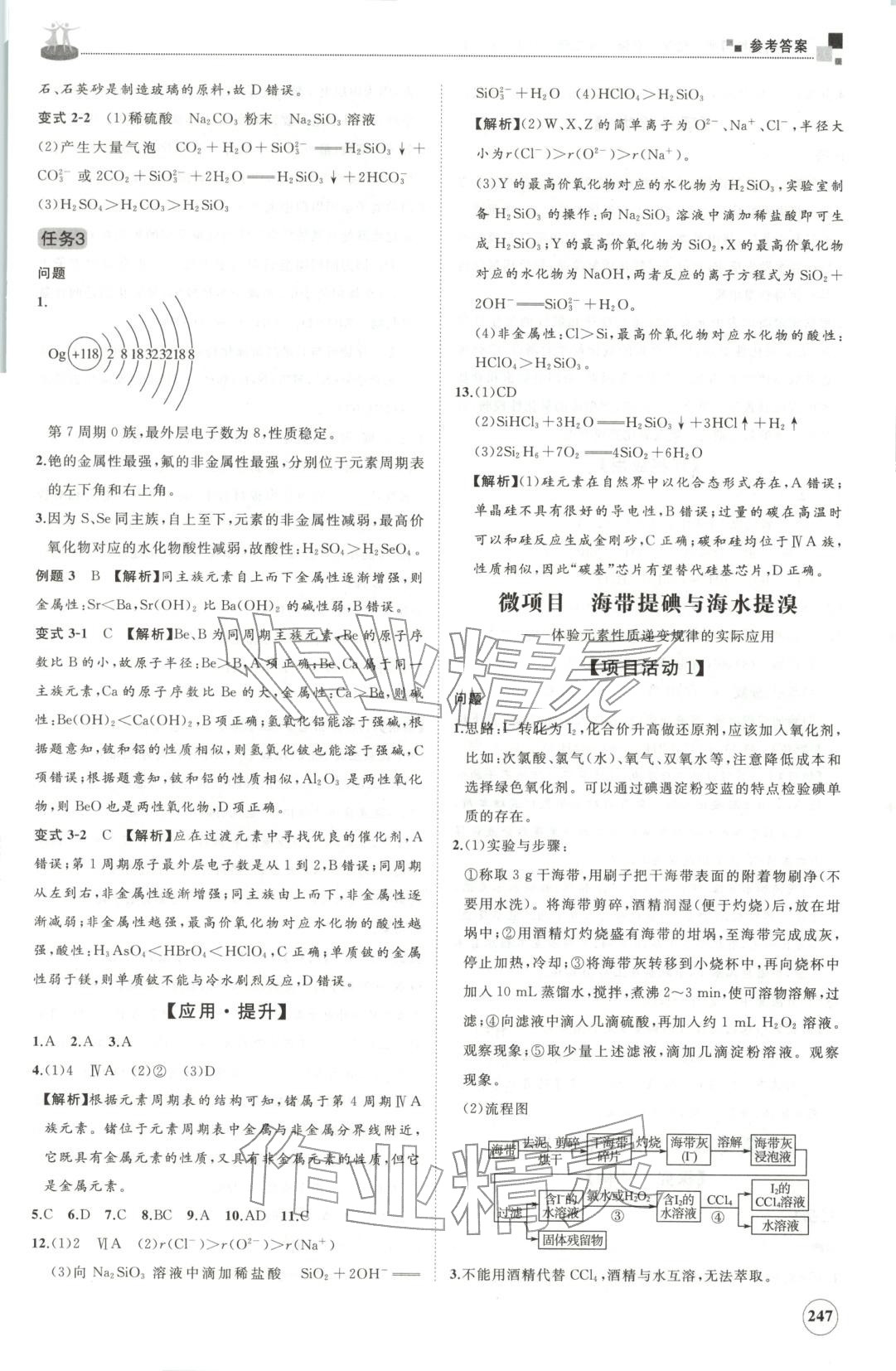 2025年同步练习册山东友谊出版社高一化学必修第二册鲁科版B专版&nbsp;第11页