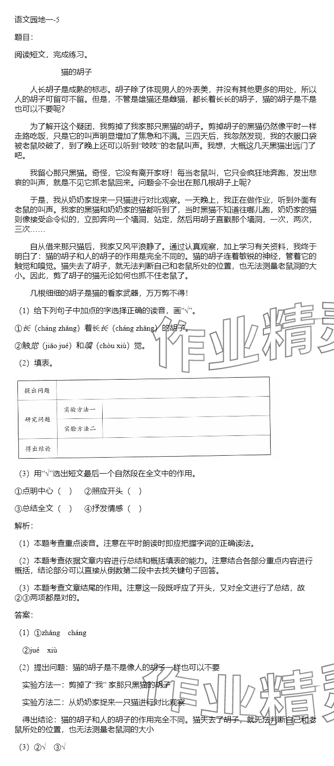 2024年同步实践评价课程基础训练六年级语文下册人教版 参考答案第36页