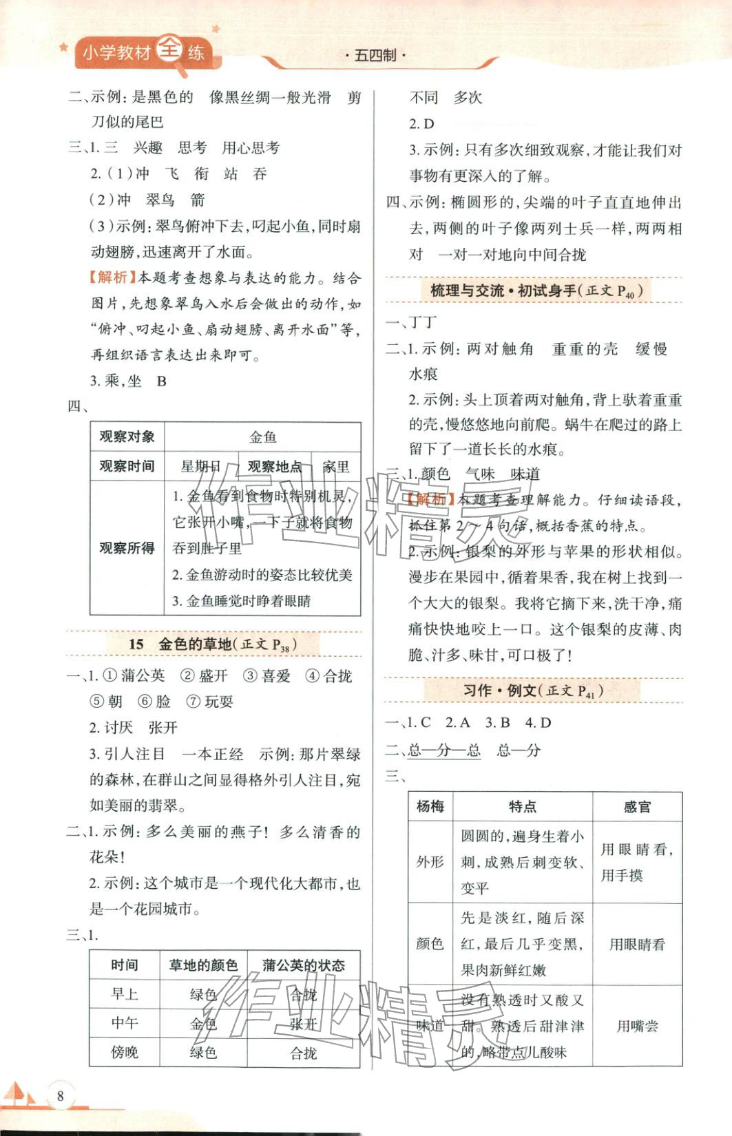 2025年教材全练三年级语文上册人教版&nbsp;参考答案第8页