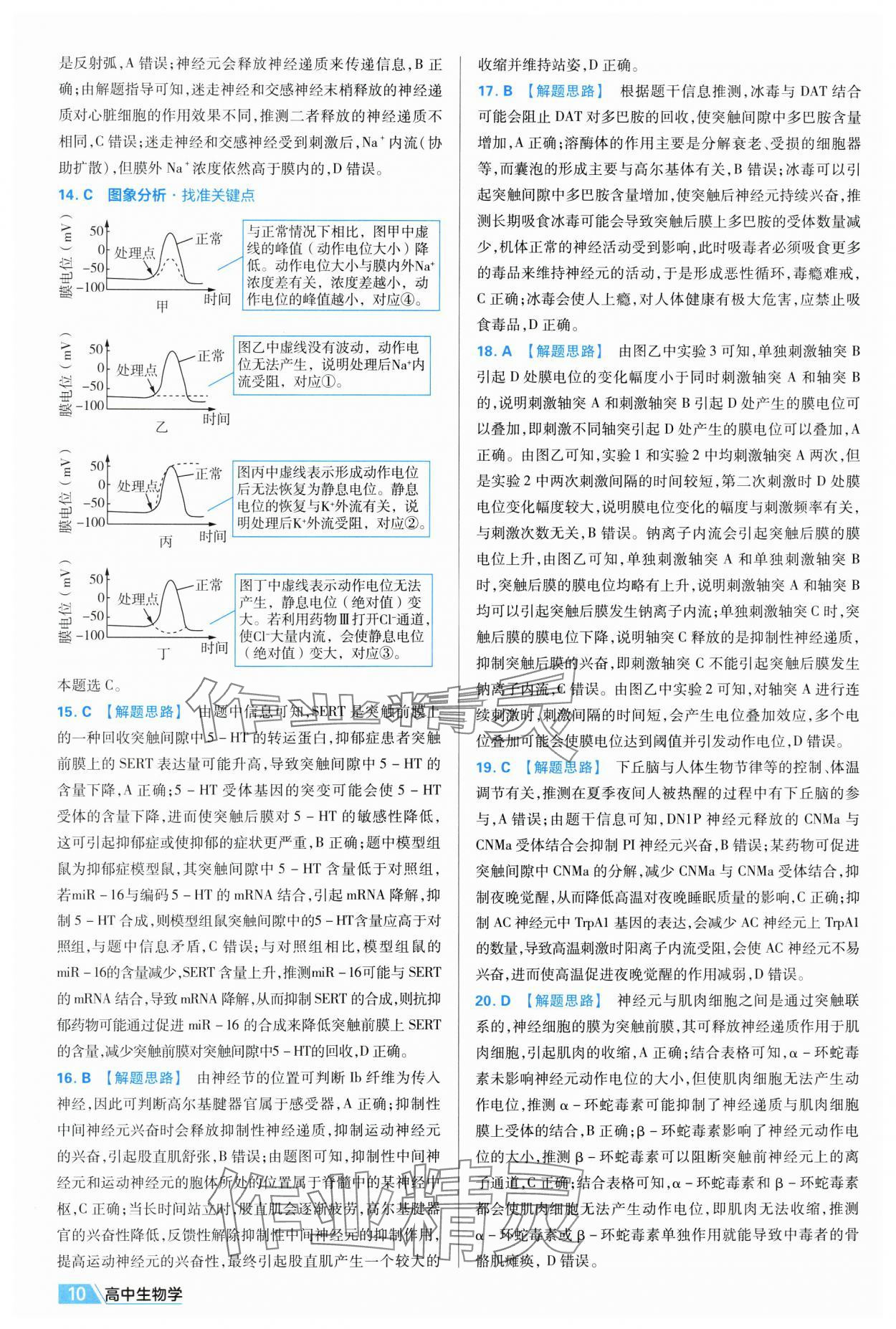 2025年金考卷活頁題選高中生物選擇性必修1人教版 第10頁