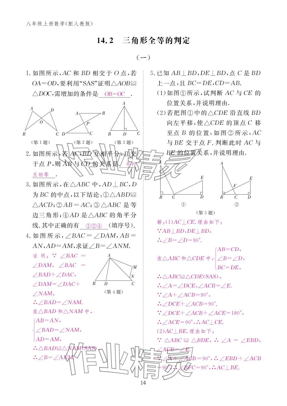 2025年作業本江西教育出版社八年級數學上冊人教版 參考答案第14頁