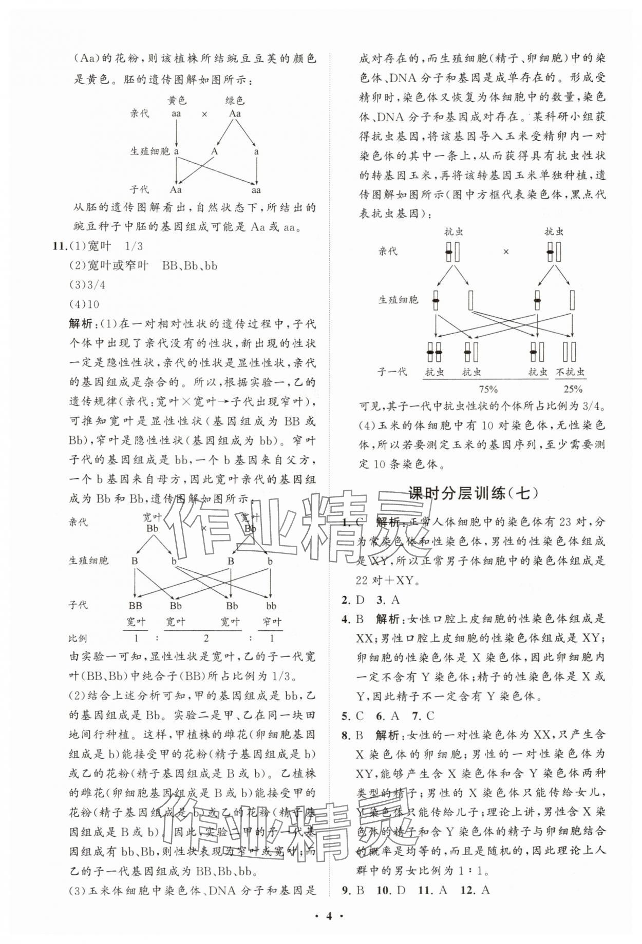 2025年同步練習(xí)冊分層卷八年級(jí)生物下冊魯科版五四制 參考答案第4頁