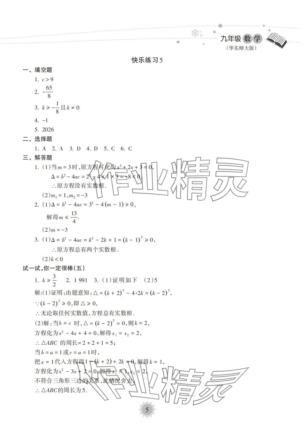 2024年寒假樂園海南出版社九年級(jí)數(shù)學(xué)華師大版 第5頁