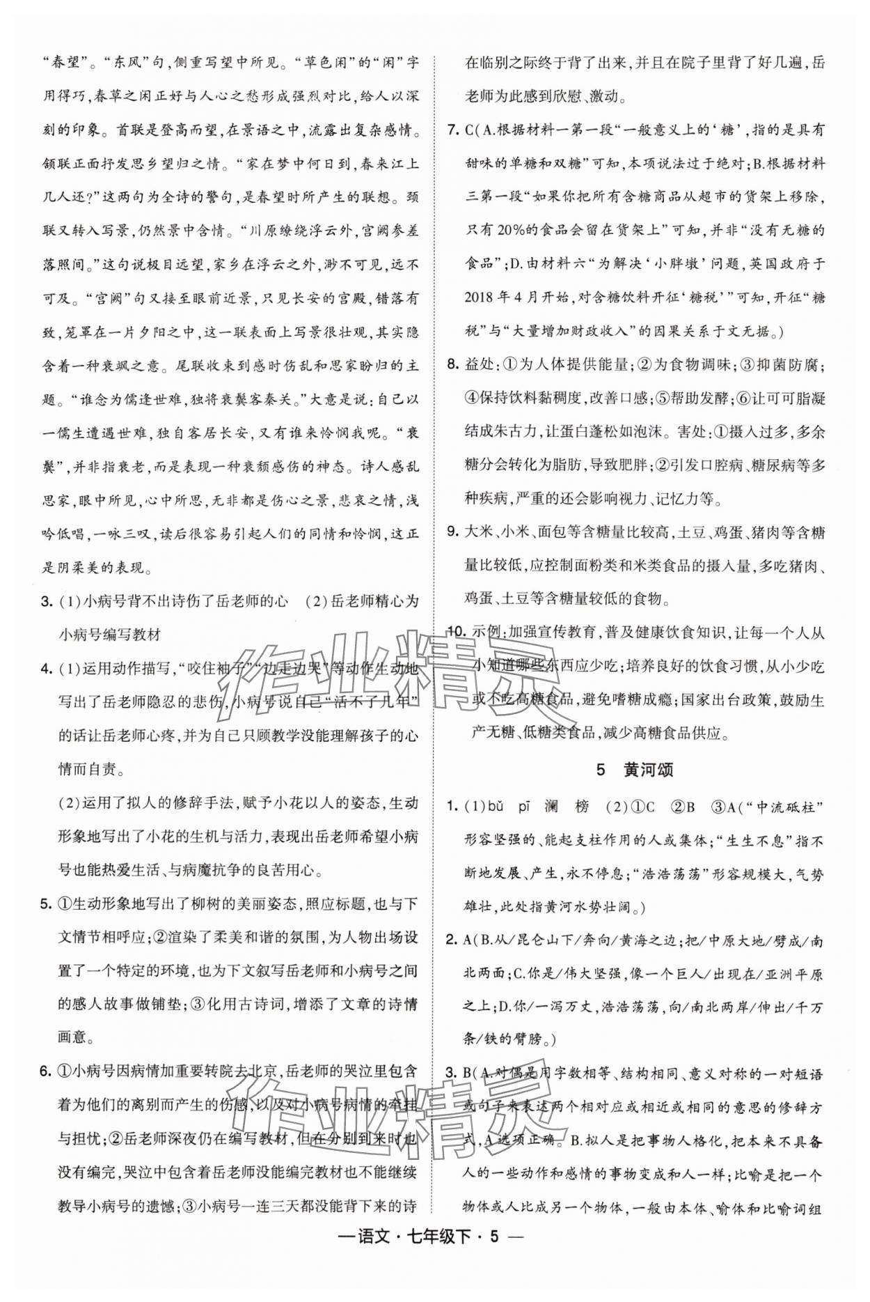 2024年經(jīng)綸學典課時作業(yè)七年級語文下冊人教版 第5頁