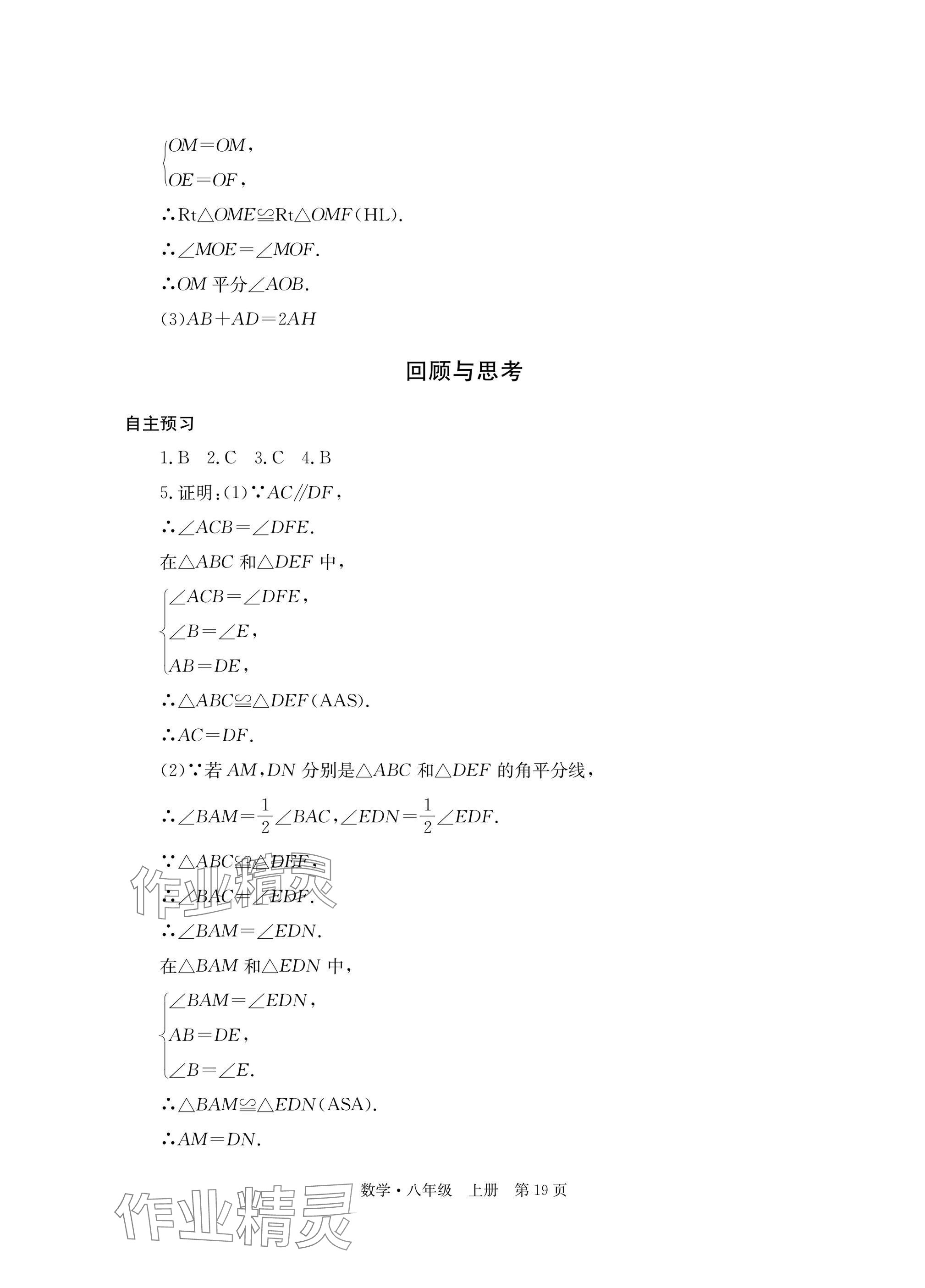 2025年自主学习指导课程与测试八年级数学上册人教版 参考答案第19页