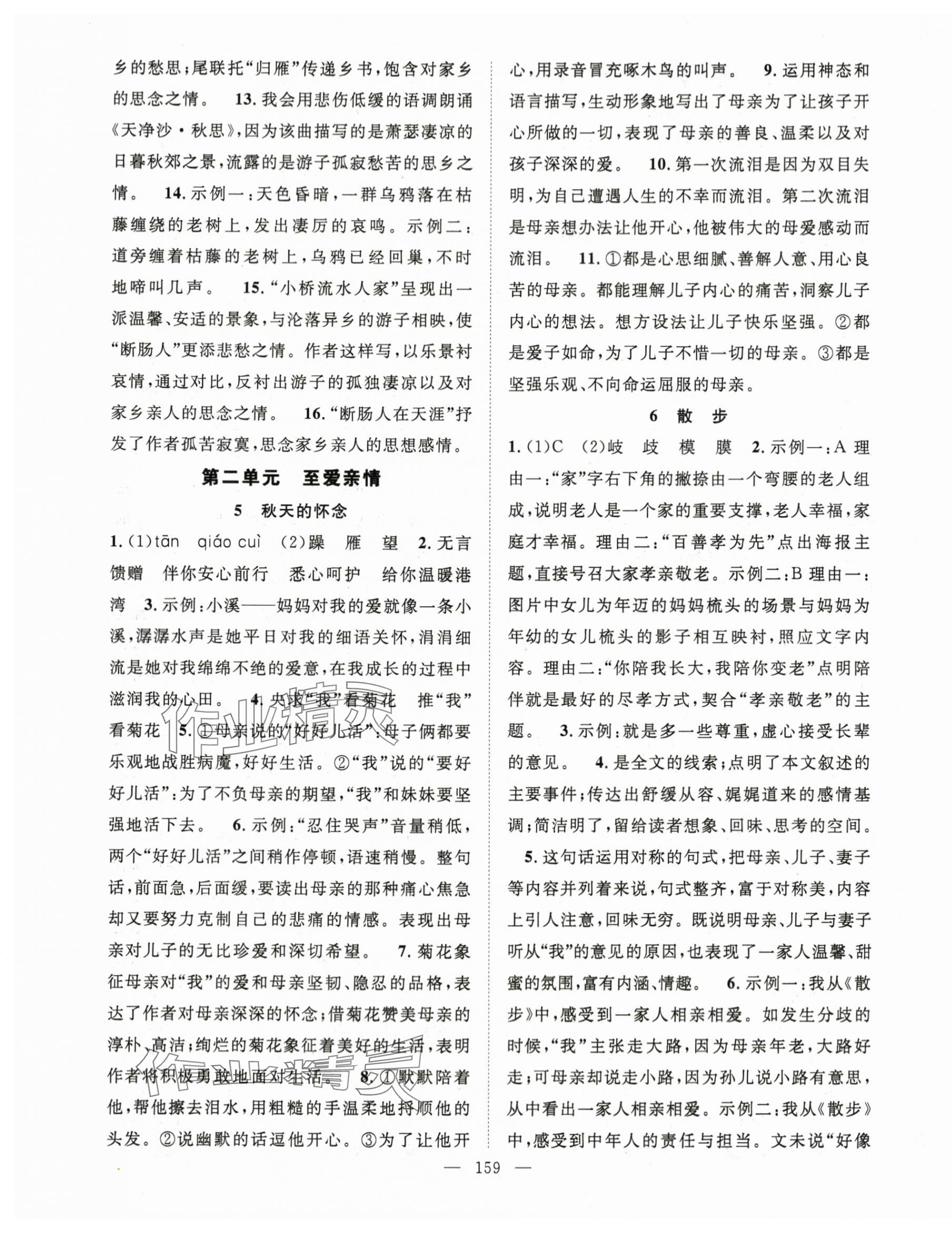 2025年名师学案七年级语文上册人教版河南专版 第3页