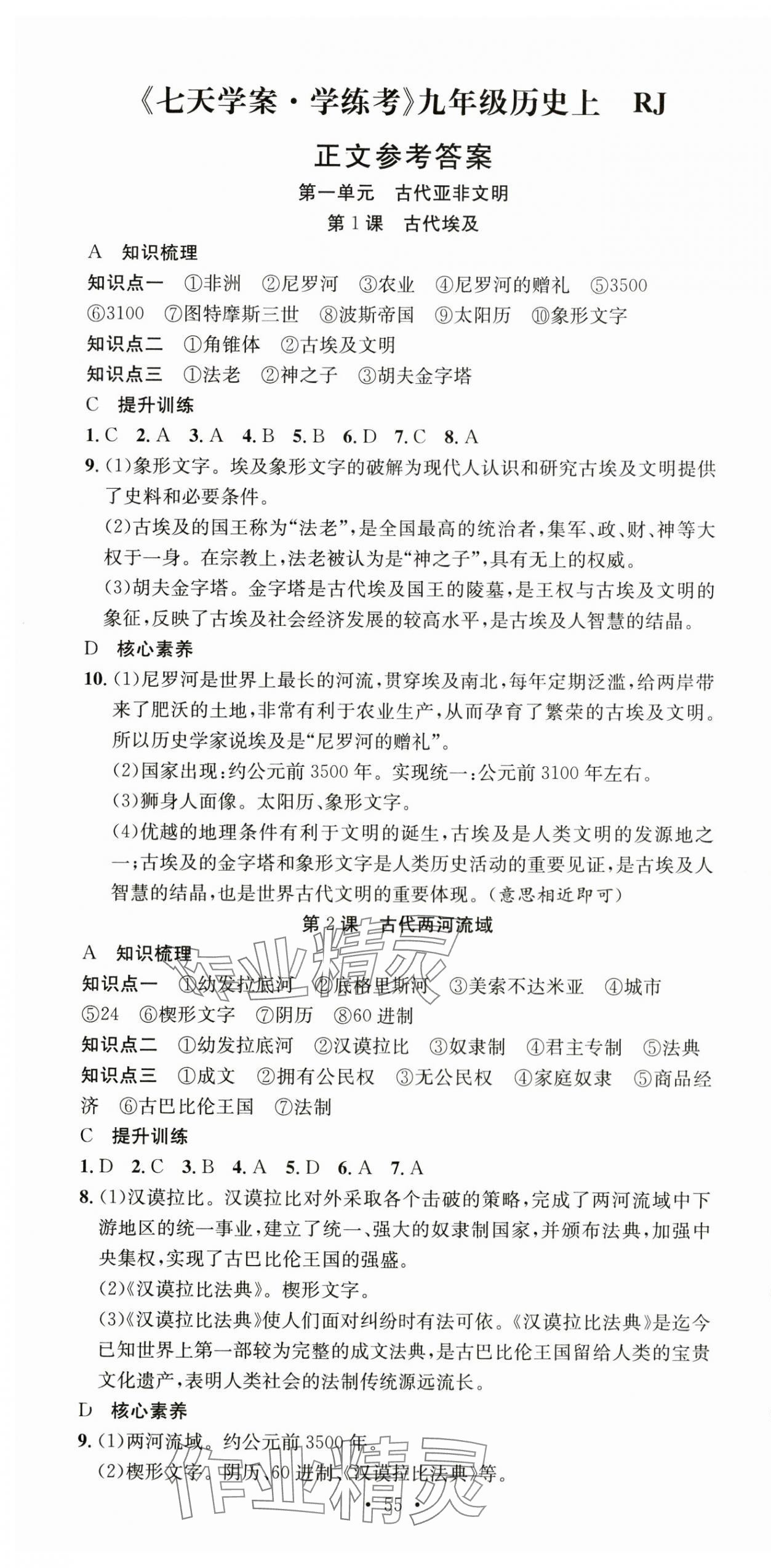 2025年七天學(xué)案學(xué)練考九年級(jí)歷史上冊(cè)人教版 第1頁(yè)