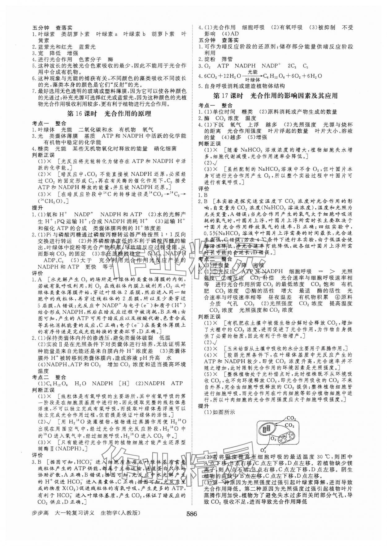 2025年步步高大一輪復(fù)習講義生物人教版 第10頁