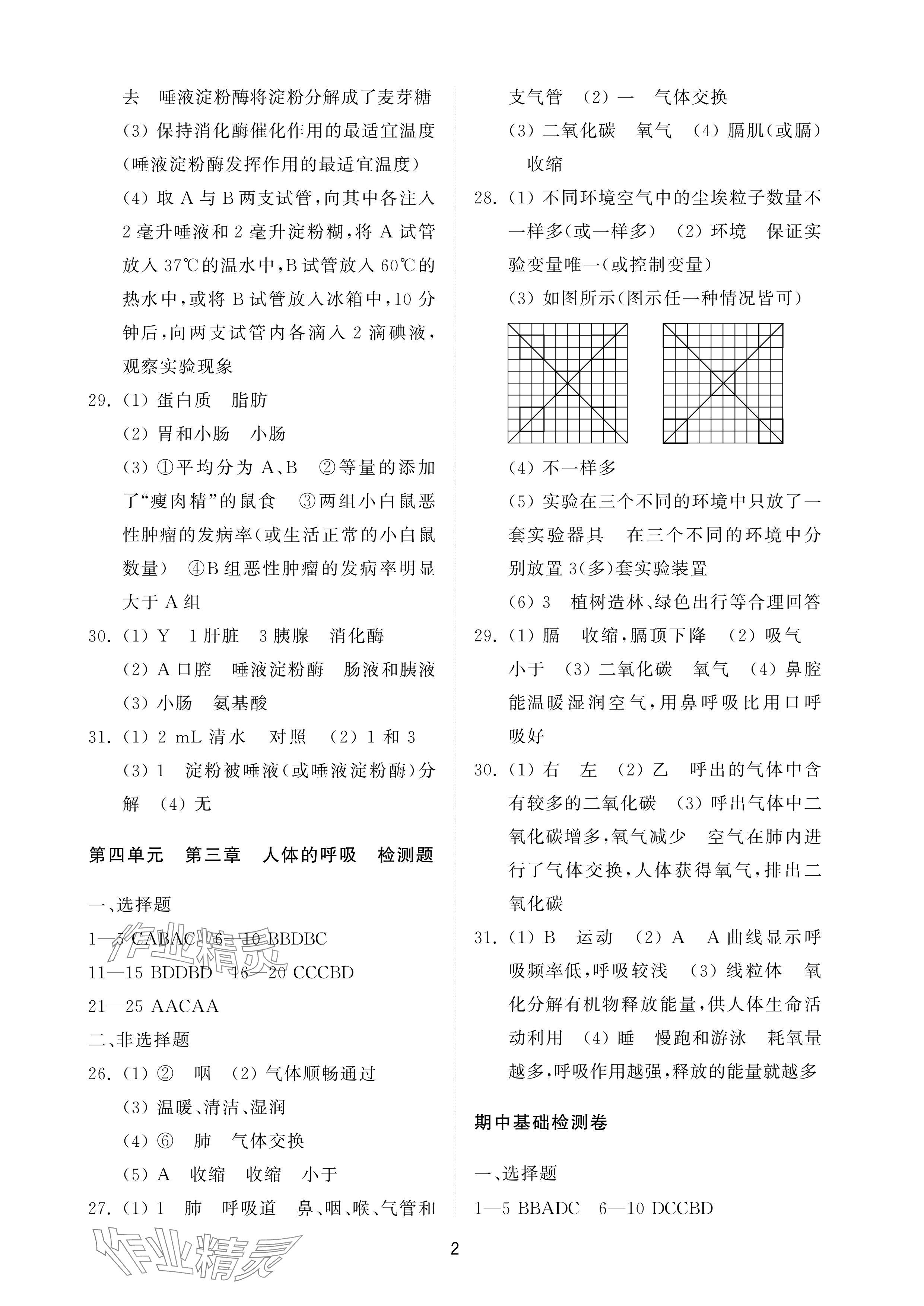 2024年同步練習(xí)冊配套檢測卷七年級(jí)生物上冊魯科版五四制 參考答案第2頁