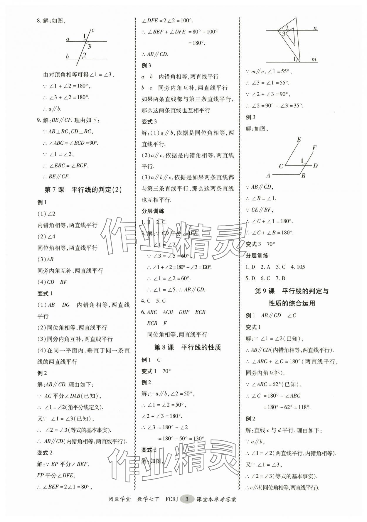 2025年分層導學案七年級數學下冊人教版 參考答案第3頁