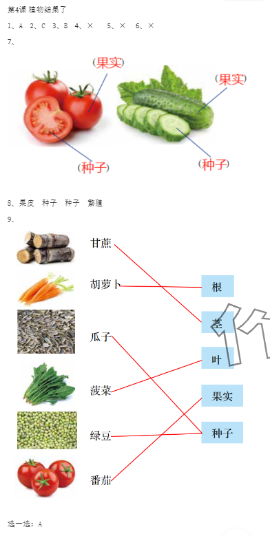 2024年科學素養(yǎng)提升三年級下冊蘇教版 參考答案第3頁