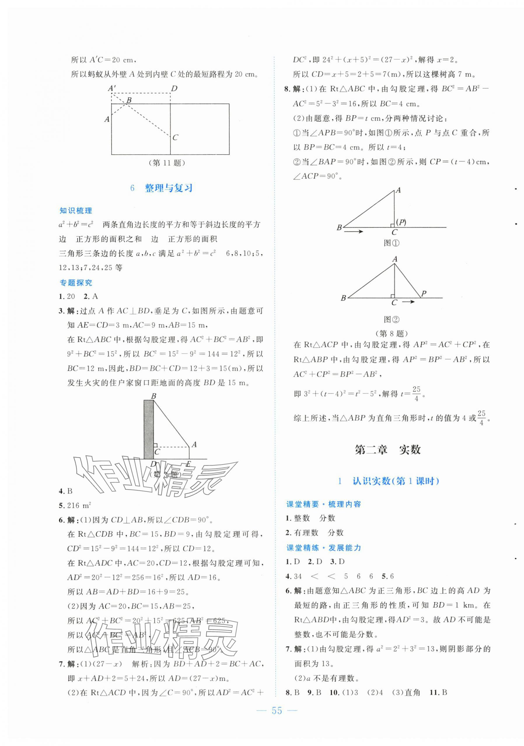 2025年課堂精練八年級數學上冊北師大版山西專版 第3頁