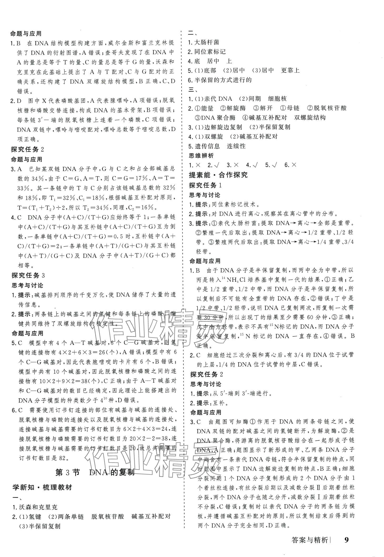 2024年高考領(lǐng)航高中生物必修2人教版 第9頁