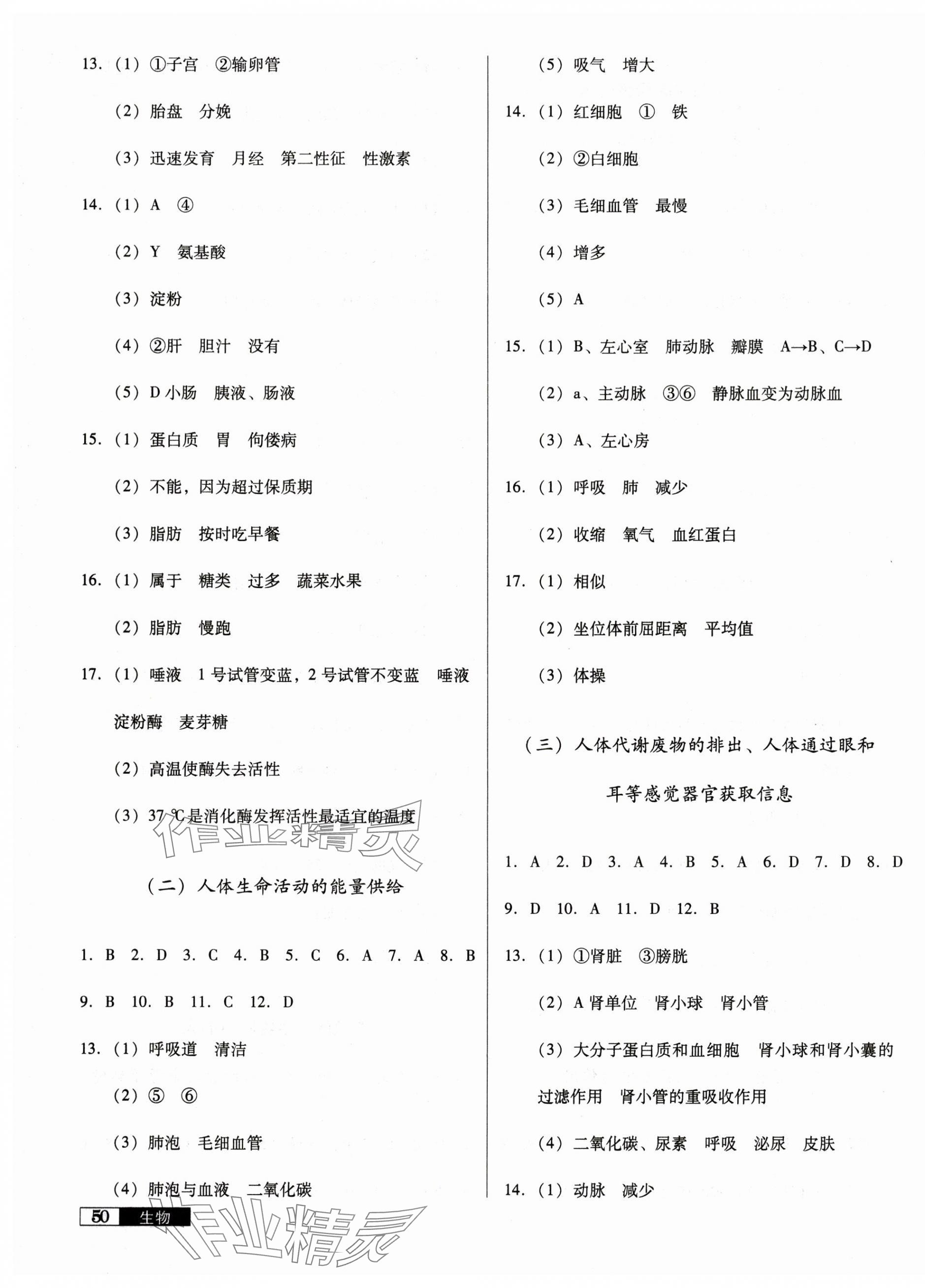 2025年中考階段總復(fù)習(xí)生物A卷 第3頁