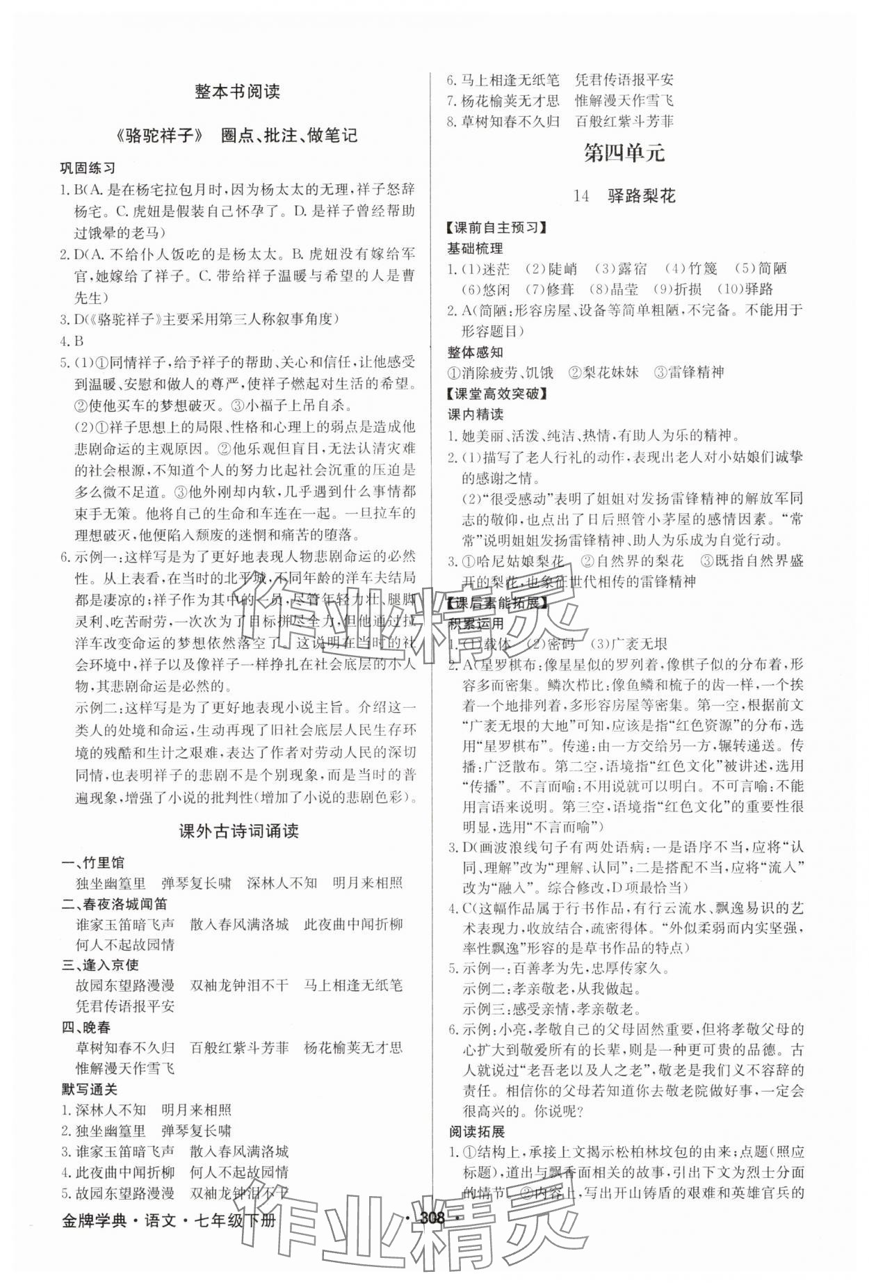 2025年金牌學(xué)典七年級語文下冊人教版 第10頁