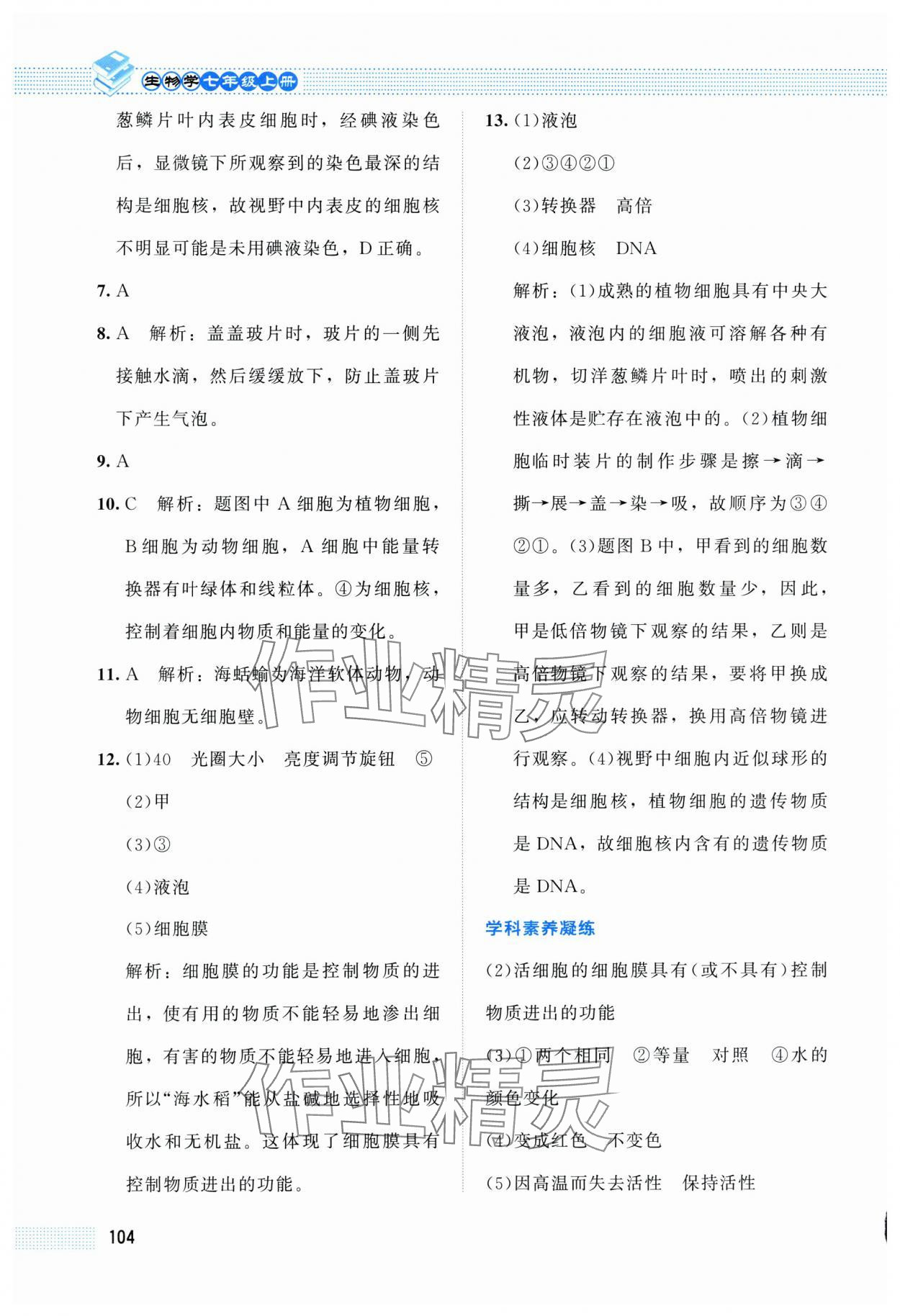 2025年课堂精练七年级生物上册北师大版双色 第6页