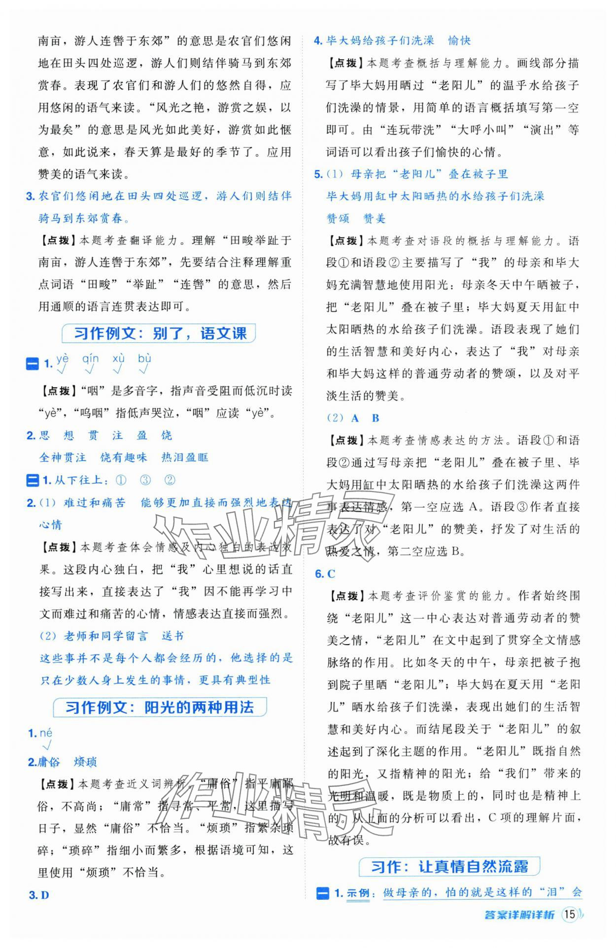2025年综合应用创新题典中点六年级语文下册人教版江苏专版 第15页