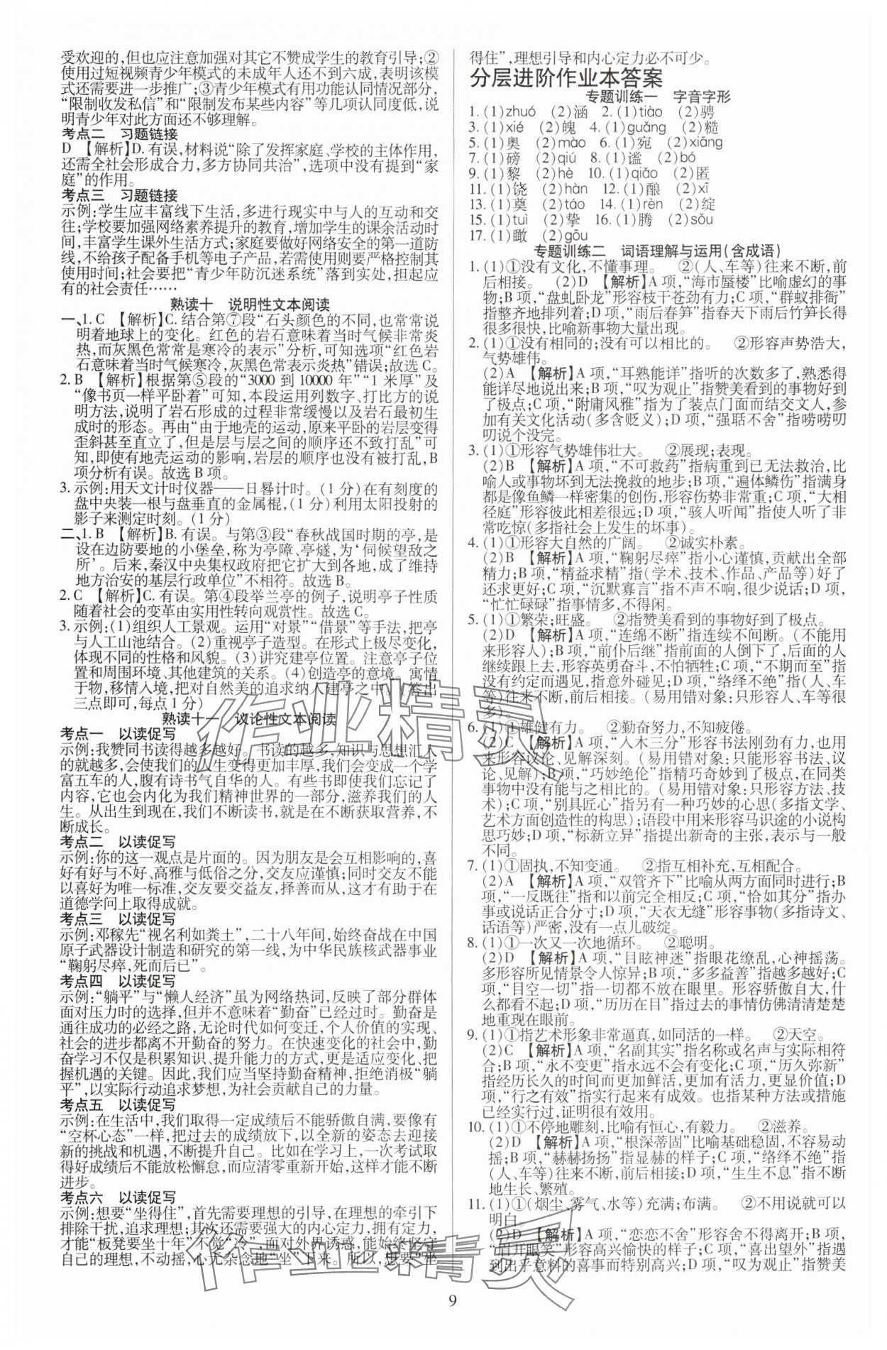 2025年暢行中考語文中考廣西專版 參考答案第9頁