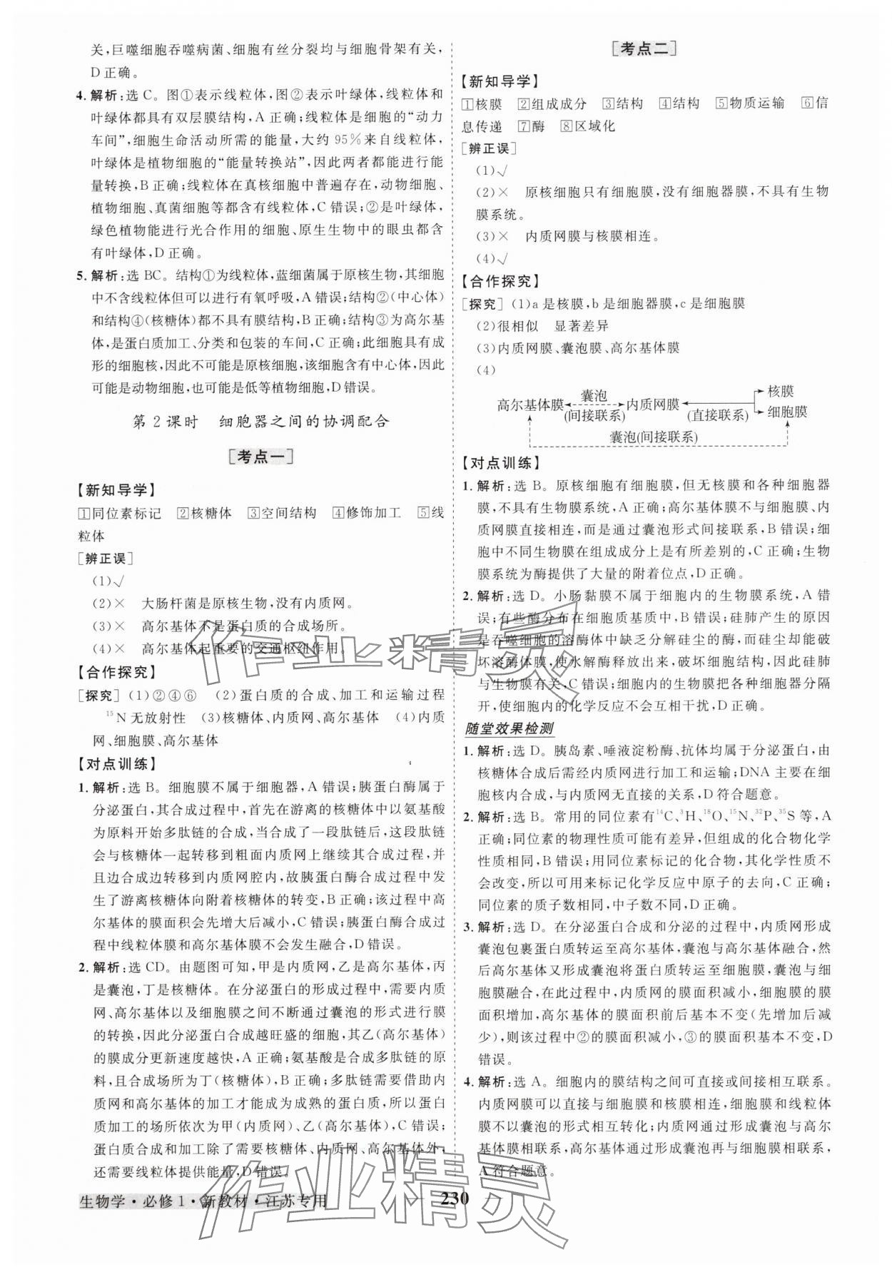 2025年高中同步创新课堂优化方案高中生物必修1人教版江苏专版 第10页