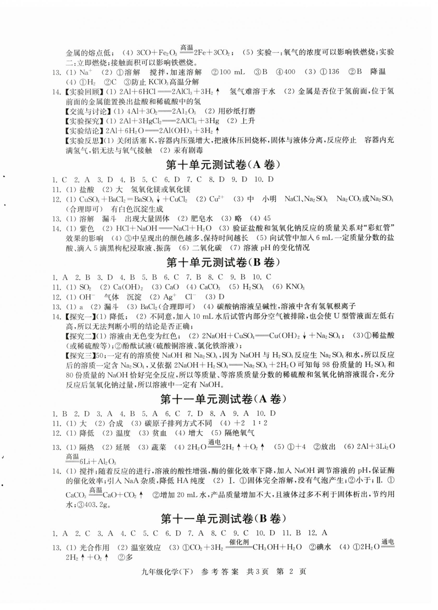 2025年伴你学单元达标测试卷九年级化学下册人教版 参考答案第2页