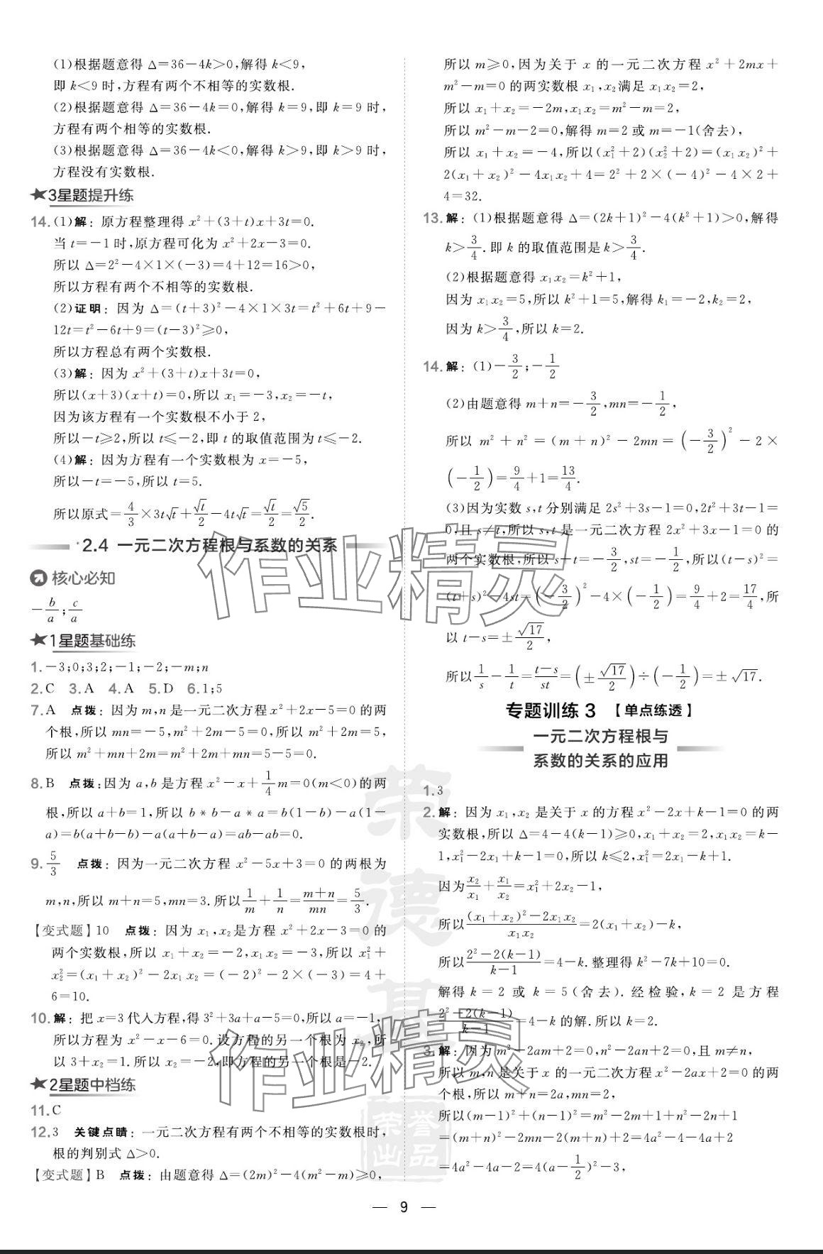 2024年点拨训练九年级数学上册湘教版 参考答案第9页