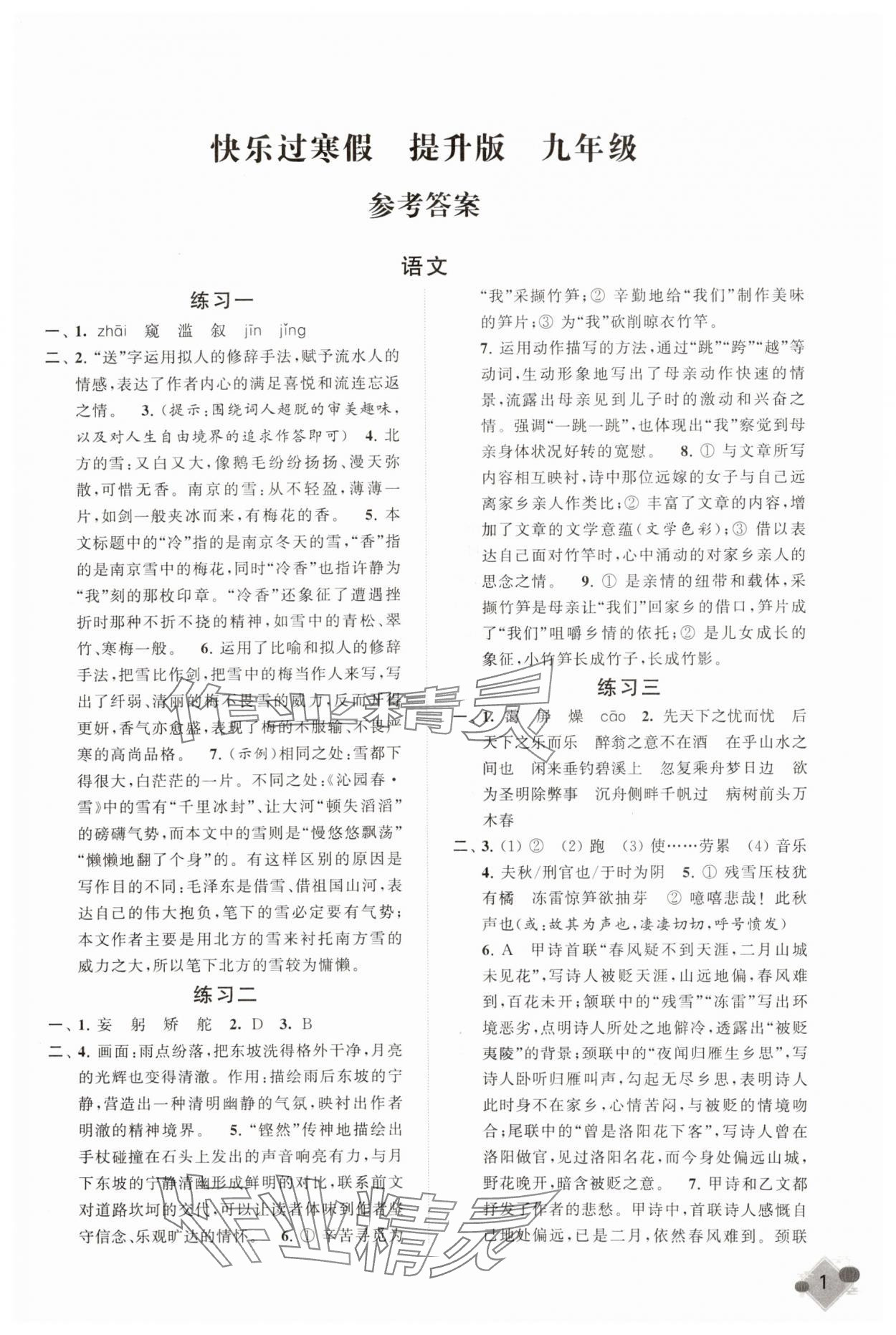 2025年快樂過寒假江蘇鳳凰科學(xué)技術(shù)出版社九年級(jí)提升版 第1頁