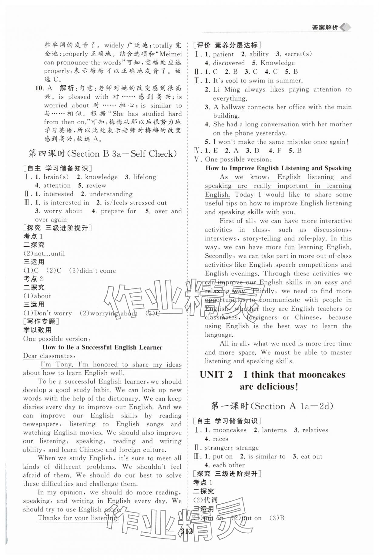 2025年新课程同步练习册九年级英语全一册人教版&nbsp;第3页