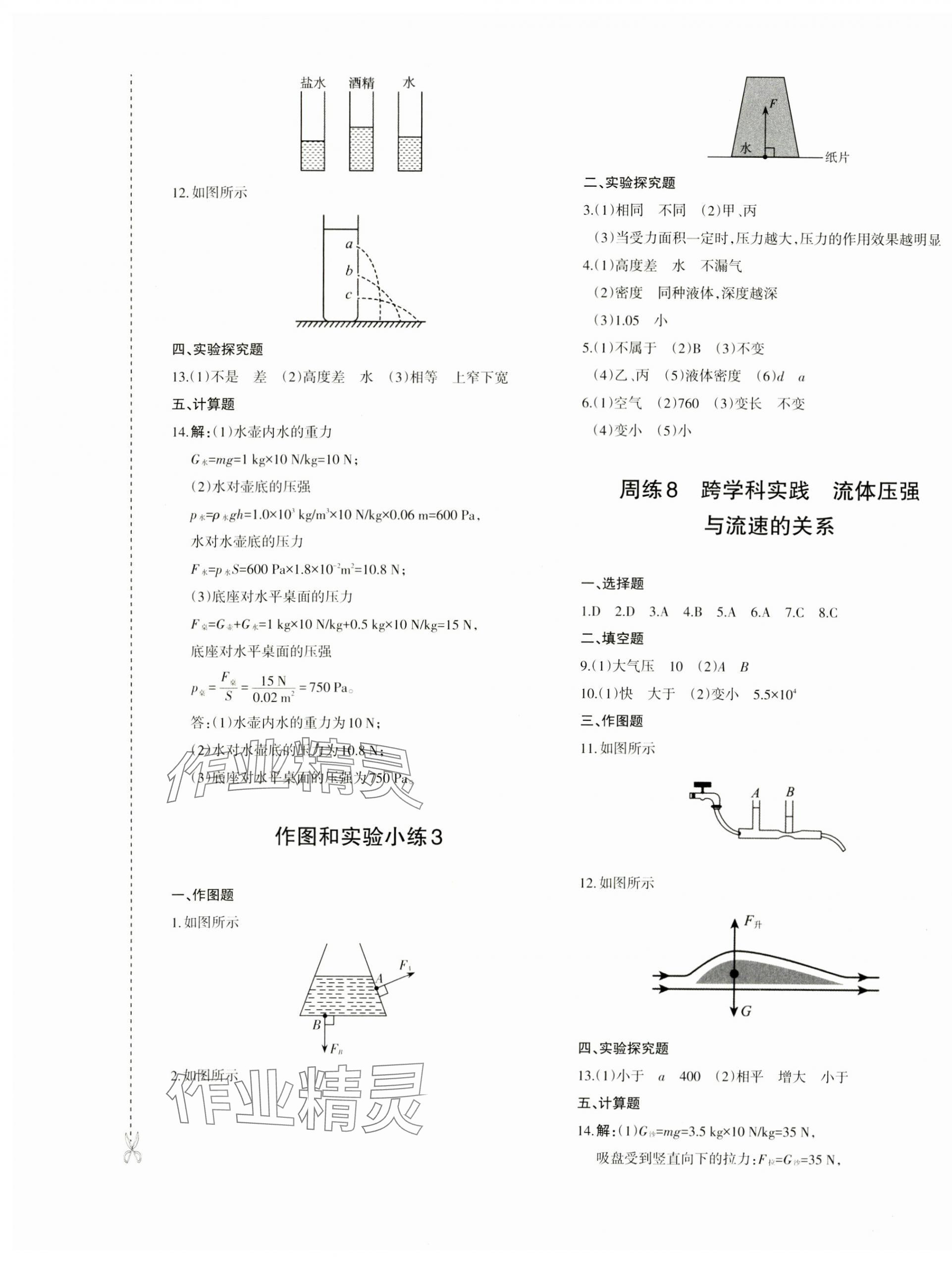 2025年優(yōu)學(xué)1+1評(píng)價(jià)與測(cè)試八年級(jí)物理下冊(cè)人教版 參考答案第5頁(yè)