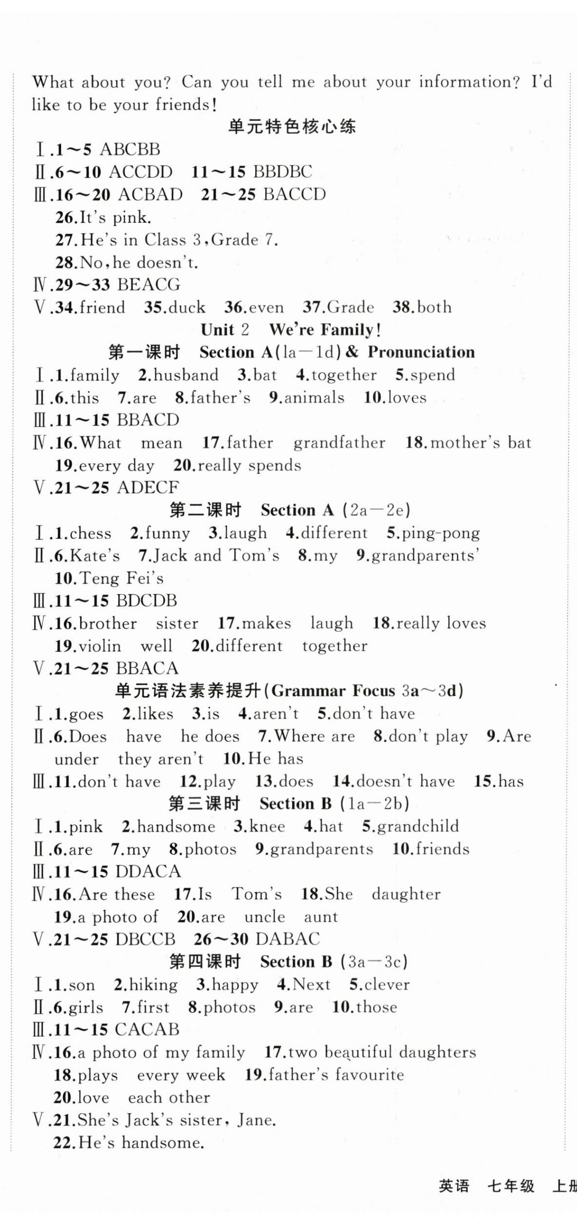 2025年隨堂1加1導(dǎo)練七年級(jí)英語(yǔ)上冊(cè)人教版 第3頁(yè)