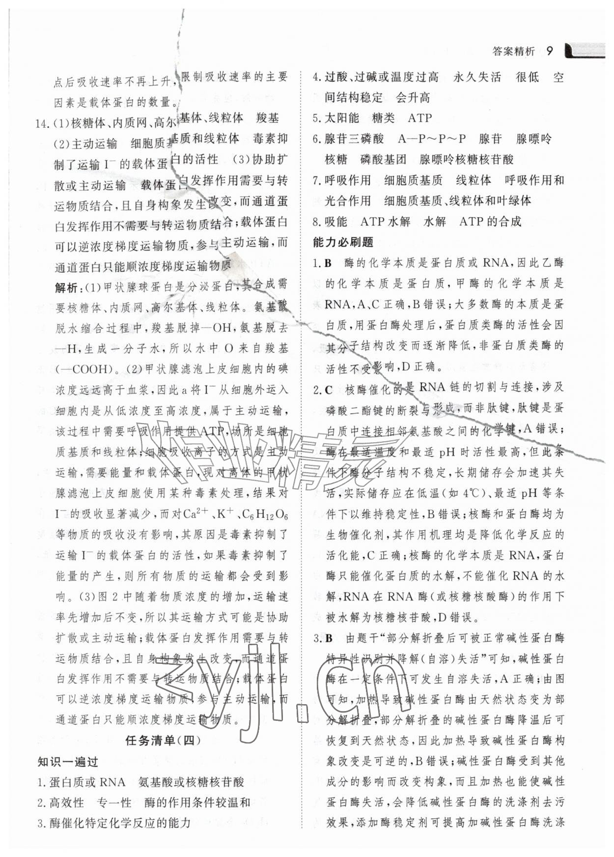 2026年金版新学案暑假作业高一生物&nbsp;参考答案第8页