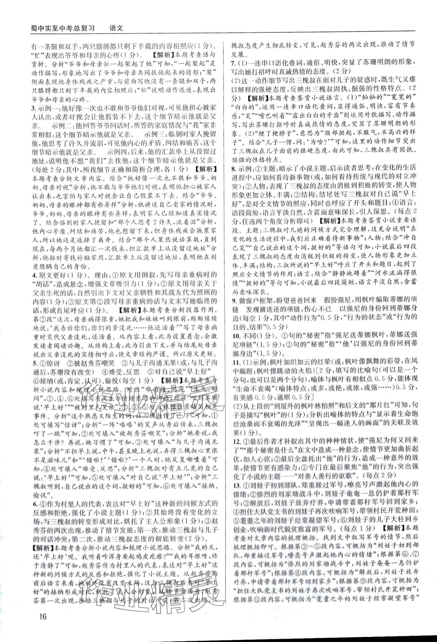 2024年蜀中实至中考总复习语文中考成都专版&nbsp;第16页
