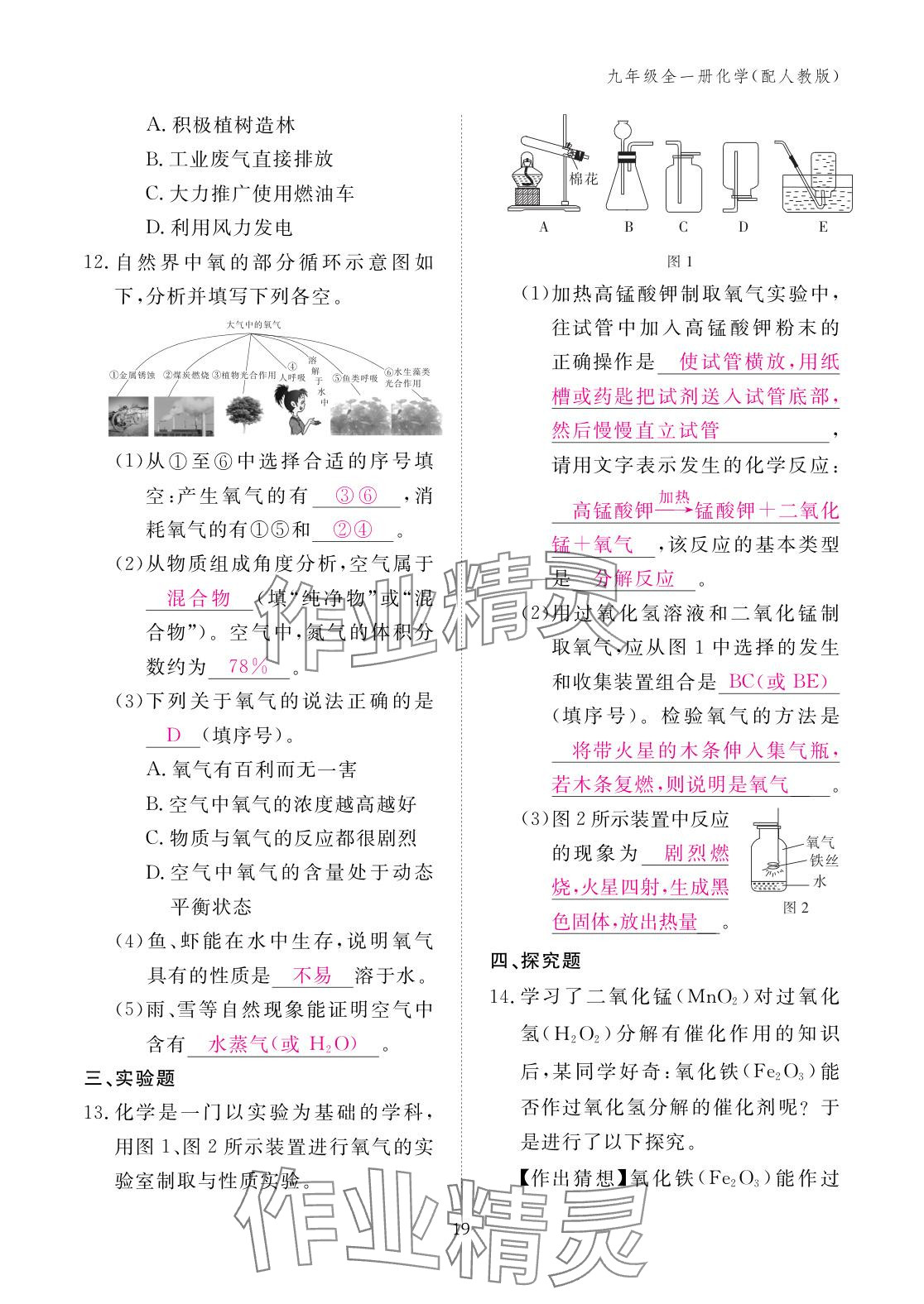 2025年作业本江西教育出版社九年级化学全一册人教版 参考答案第19页