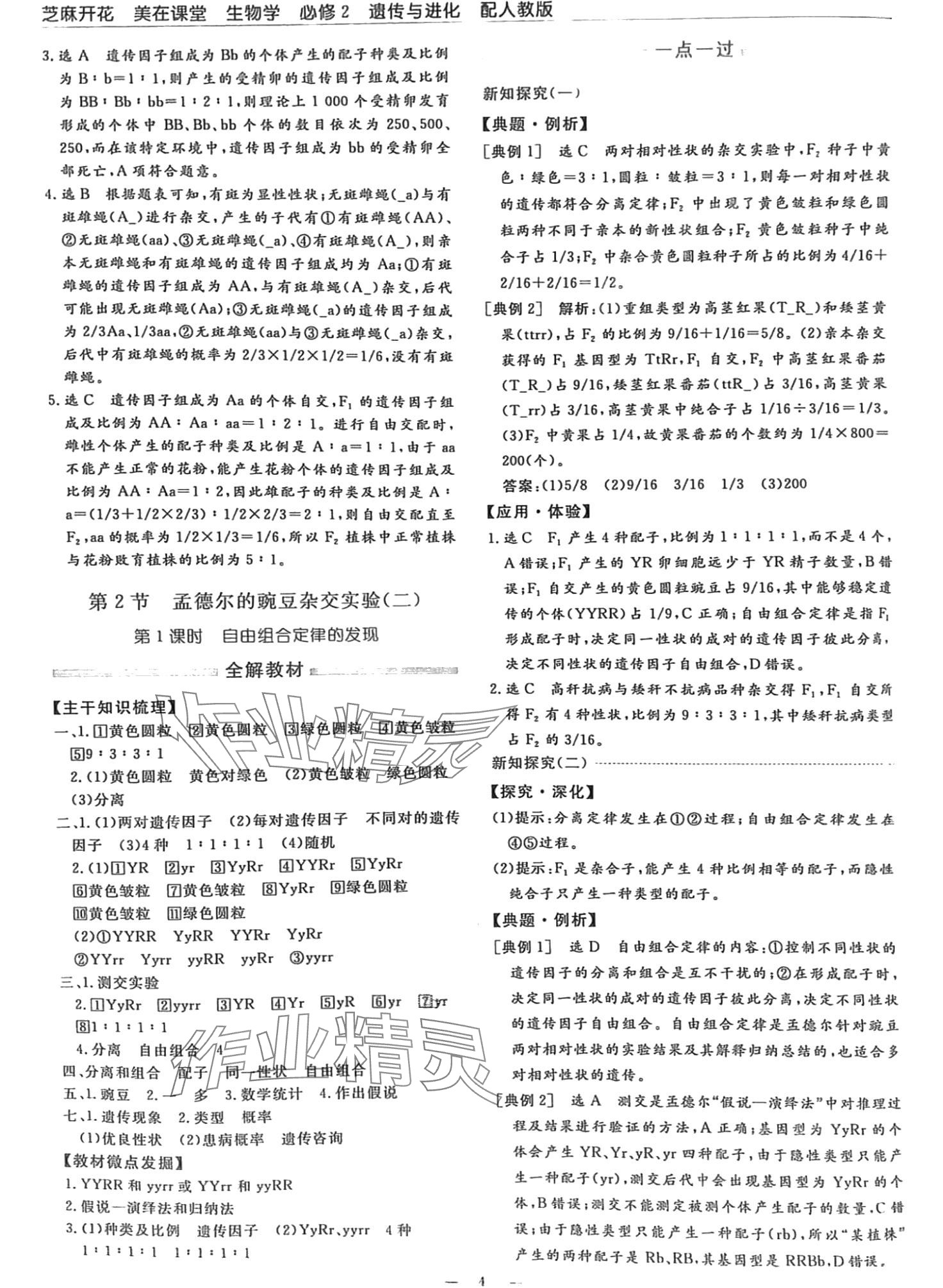 2024年芝麻開花美在課堂高中生物必修2人教版 第4頁