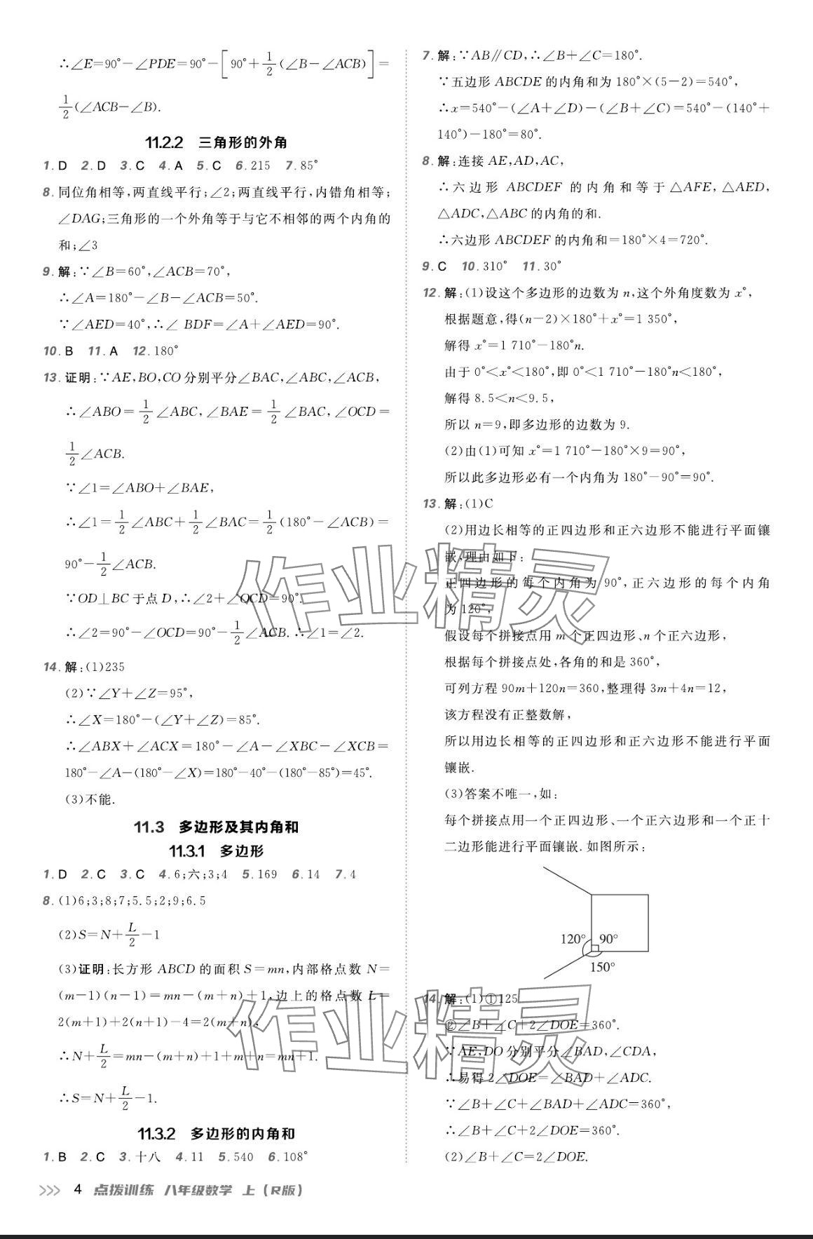 2024年点拨训练八年级数学上册人教版 参考答案第3页