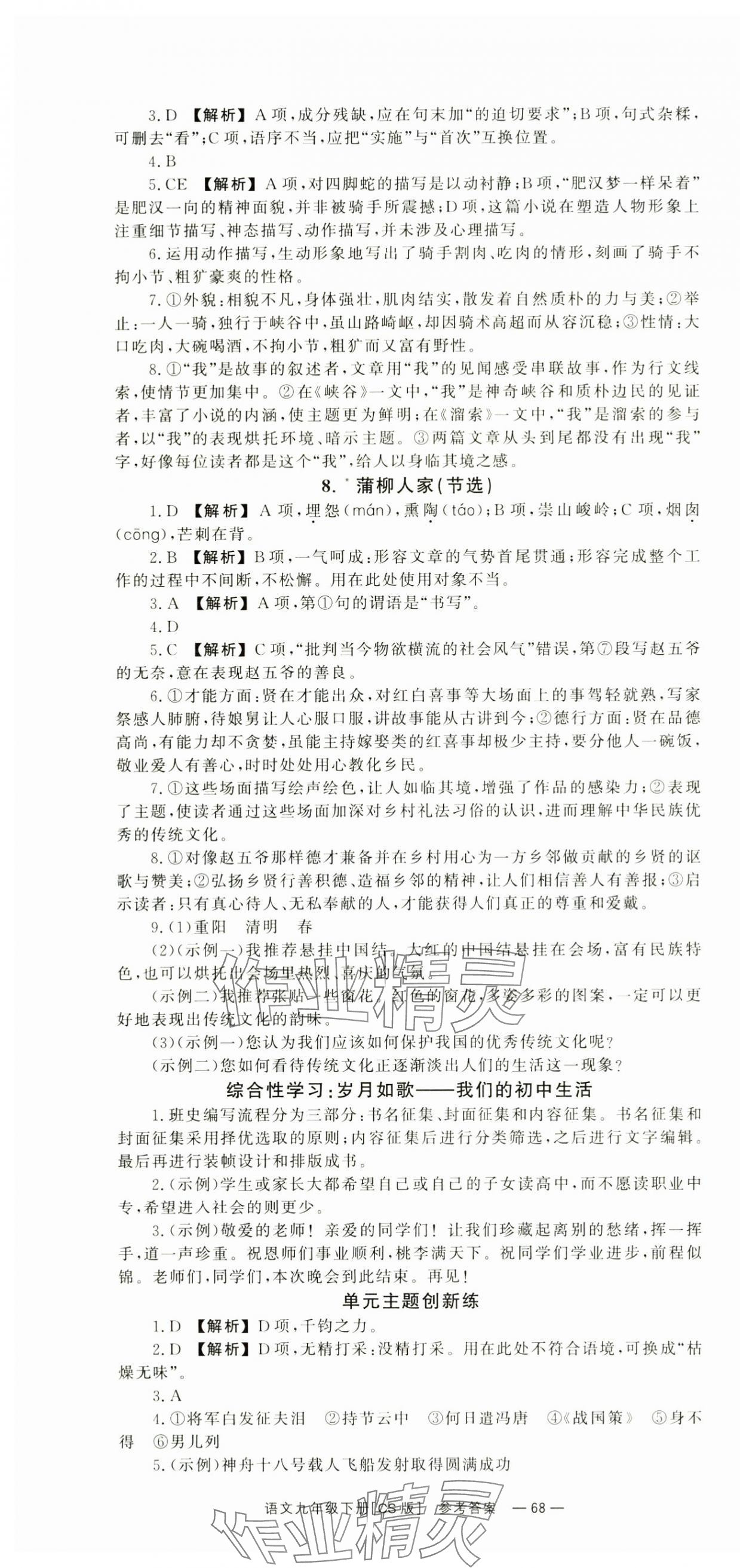 2025年全效學(xué)習(xí)同步學(xué)練測(cè)九年級(jí)語(yǔ)文下冊(cè)人教版 第4頁(yè)