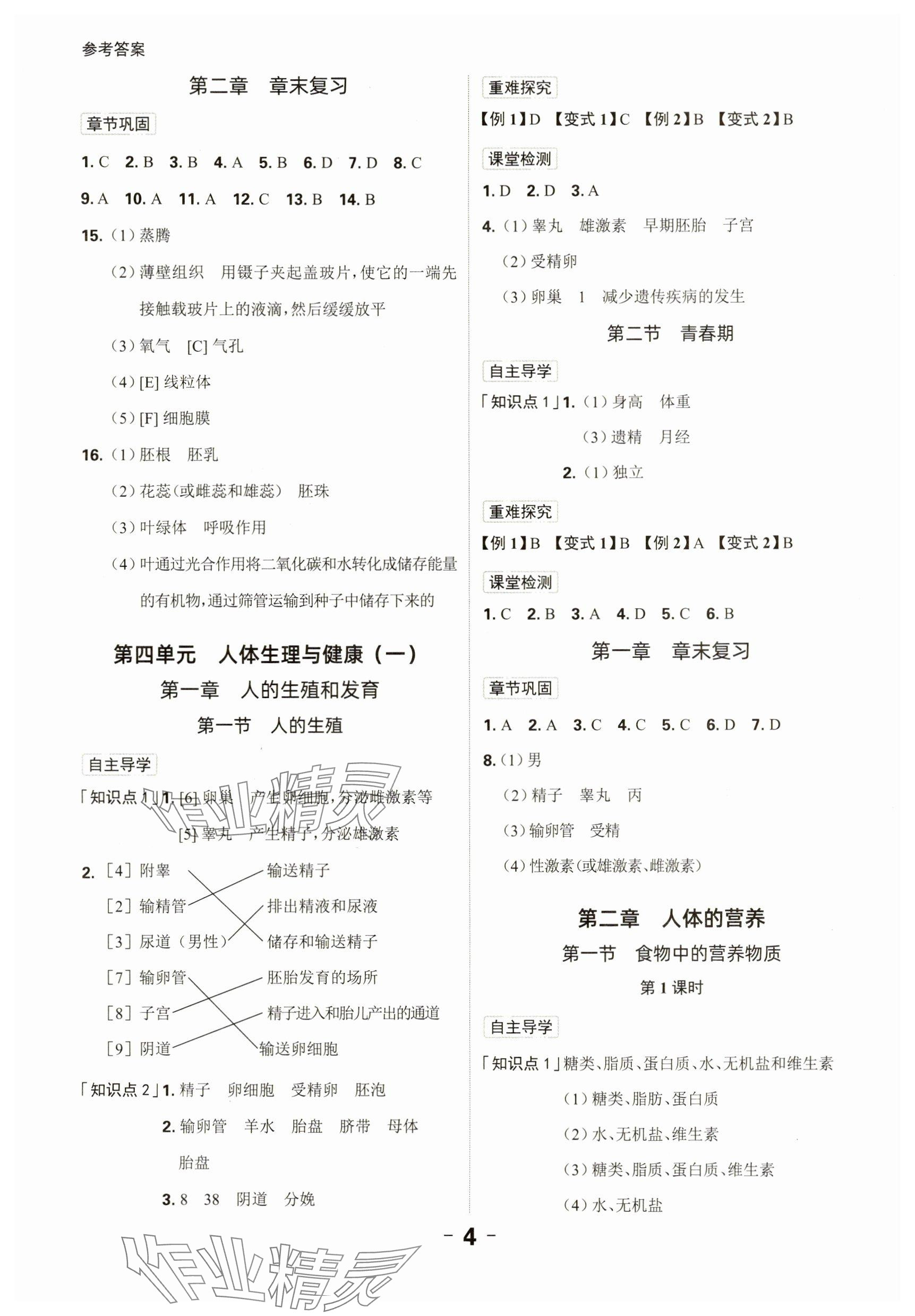 2025年全程突破七年级生物下册人教版 参考答案第4页