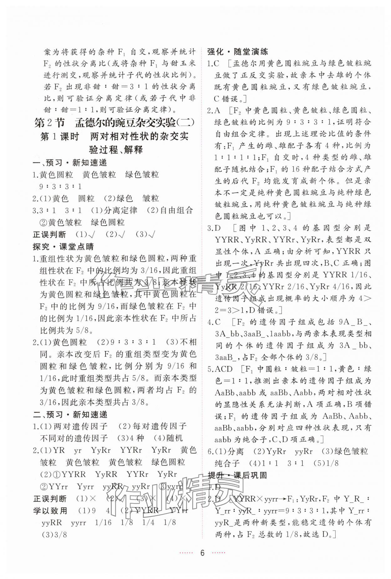 2025年三維隨堂精練高中生物必修2人教版 第6頁