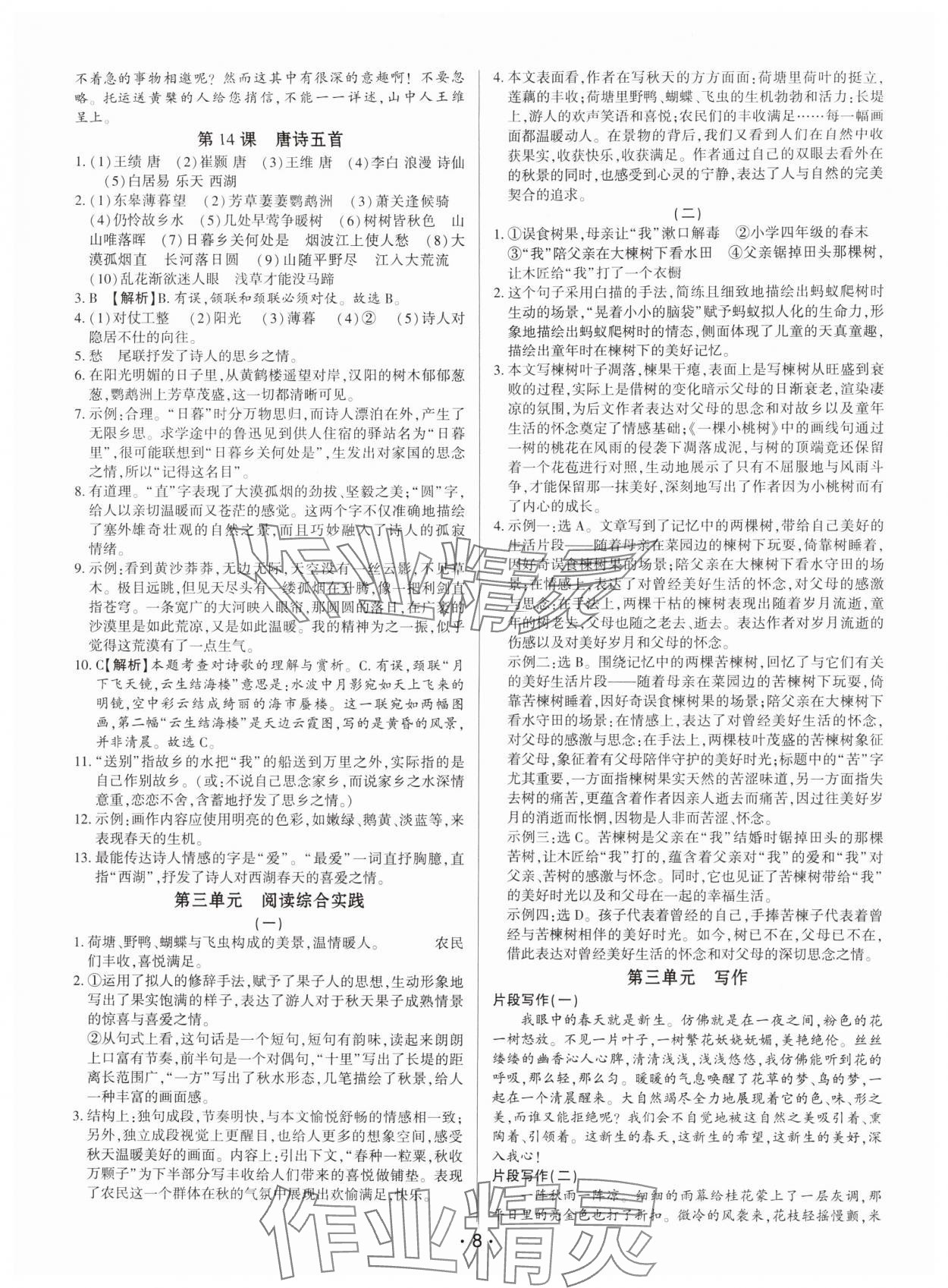 2025年基础精练八年级语文上册人教版深圳专版 第8页