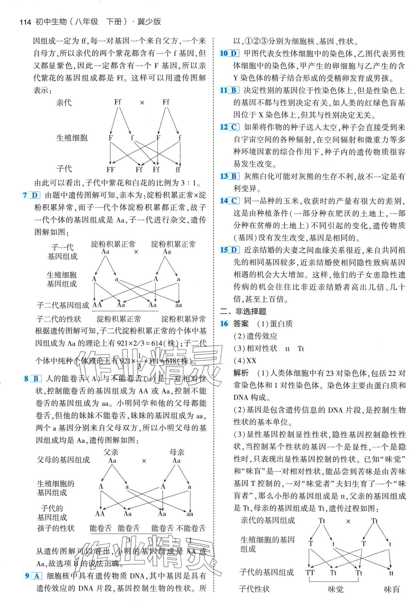 2024年5年中考3年模拟八年级生物下册冀少版 第12页