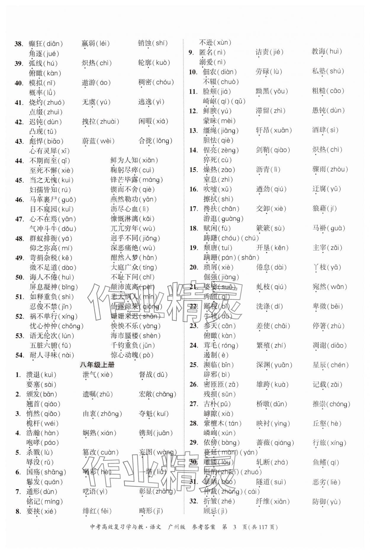 2024年中考高效復習學與教語文廣州專版 參考答案第3頁