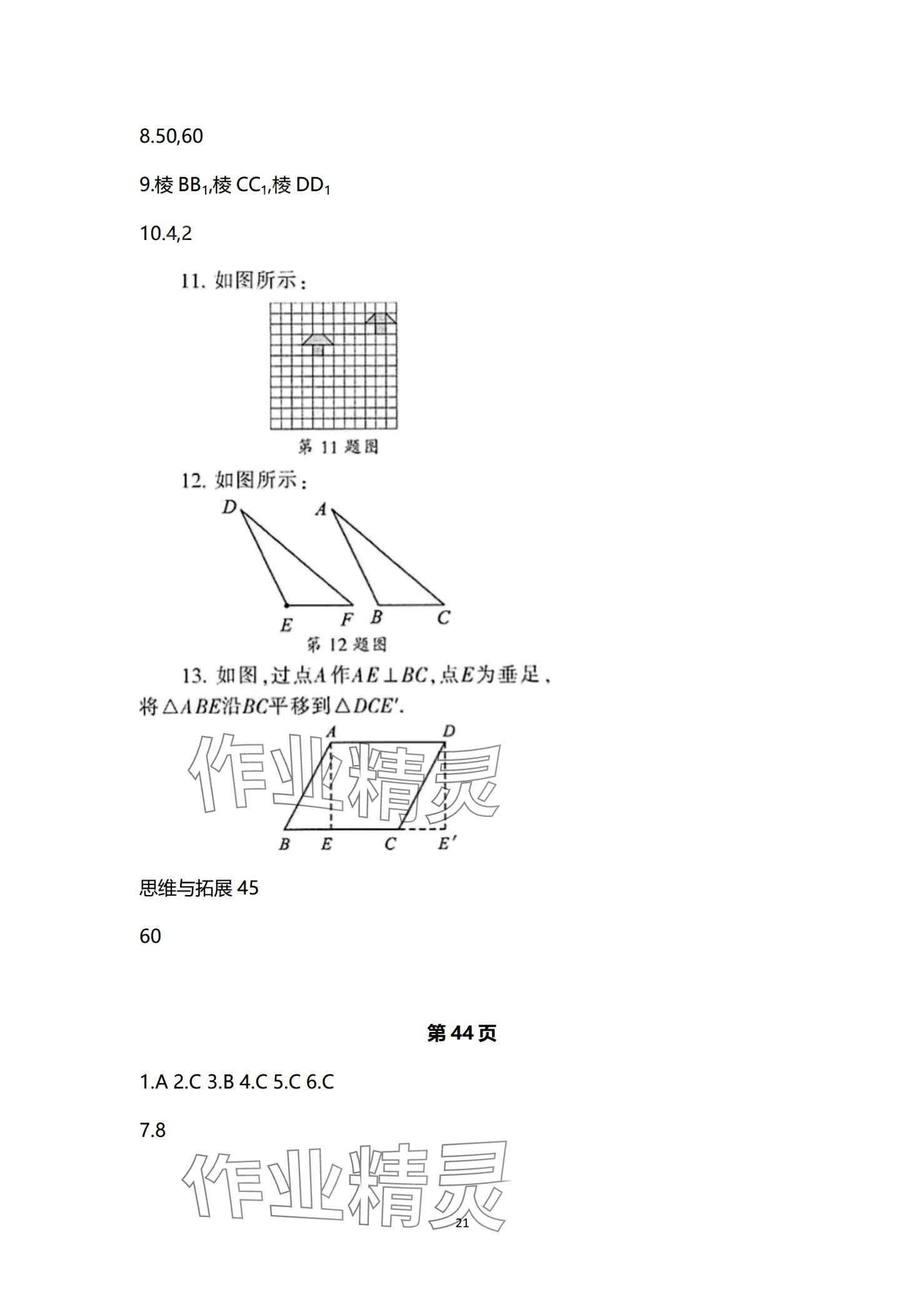 2024年中学生世界七年级数学第一学期下沪教版54制 第21页