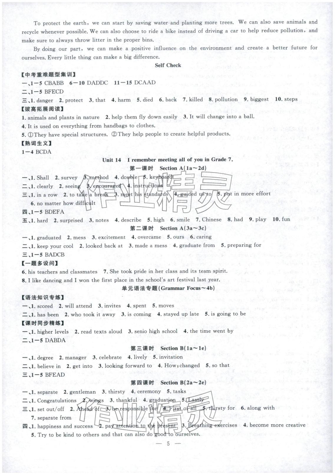 2026年课时夺冠九年级英语下册人教版河南专版&nbsp;第5页